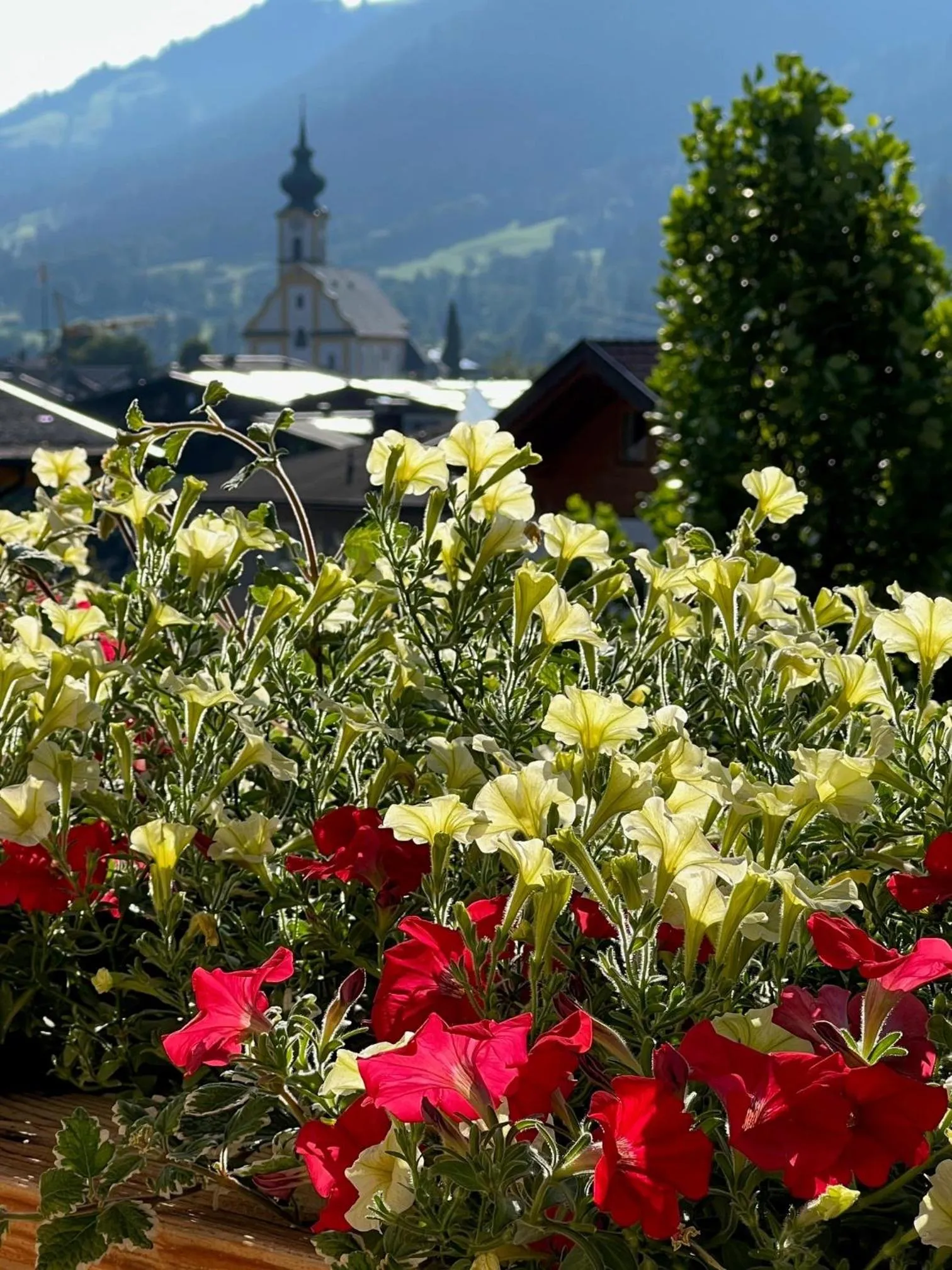 Spring in Residenz Theresa