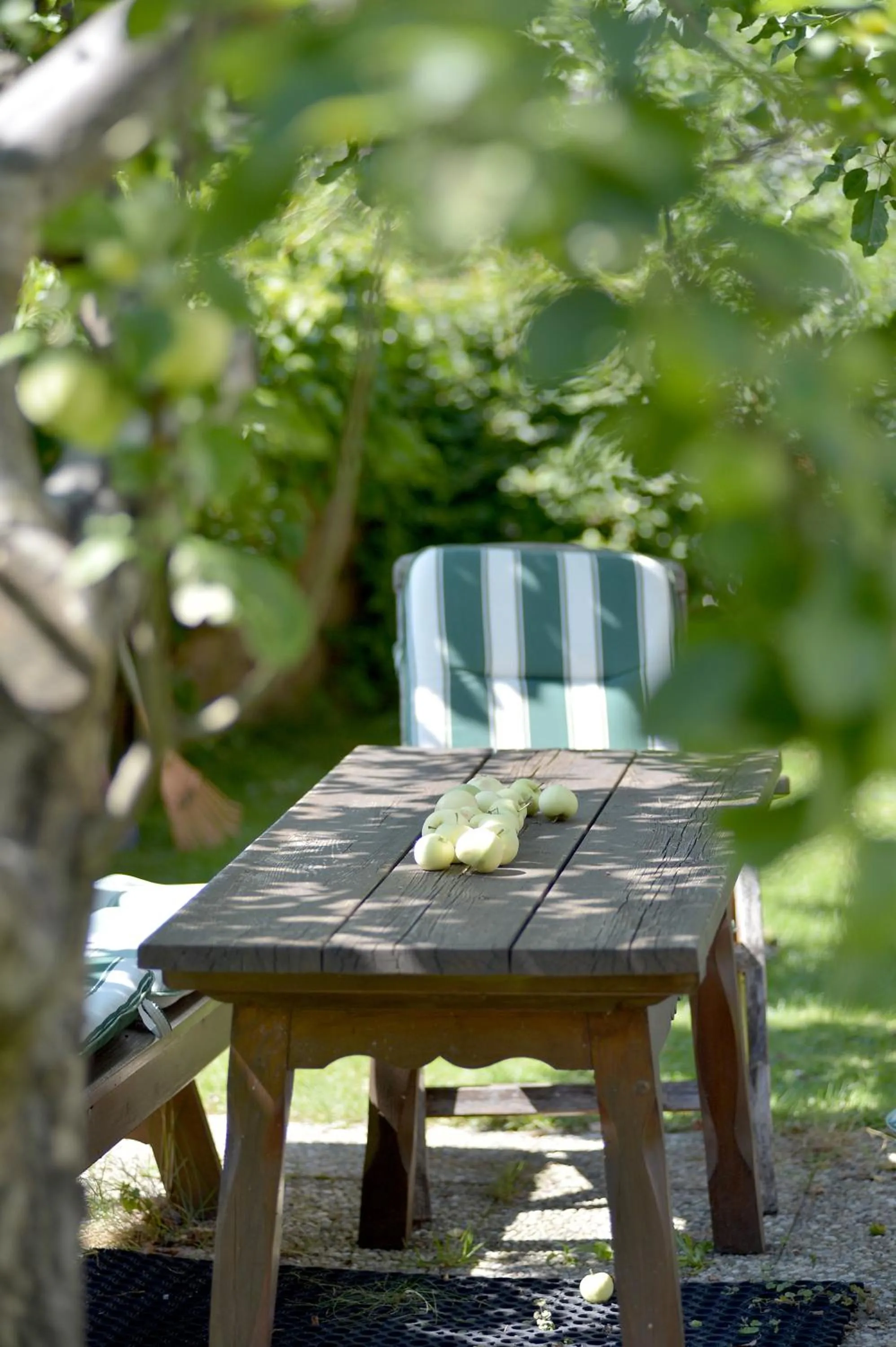 Patio in Apart Austria