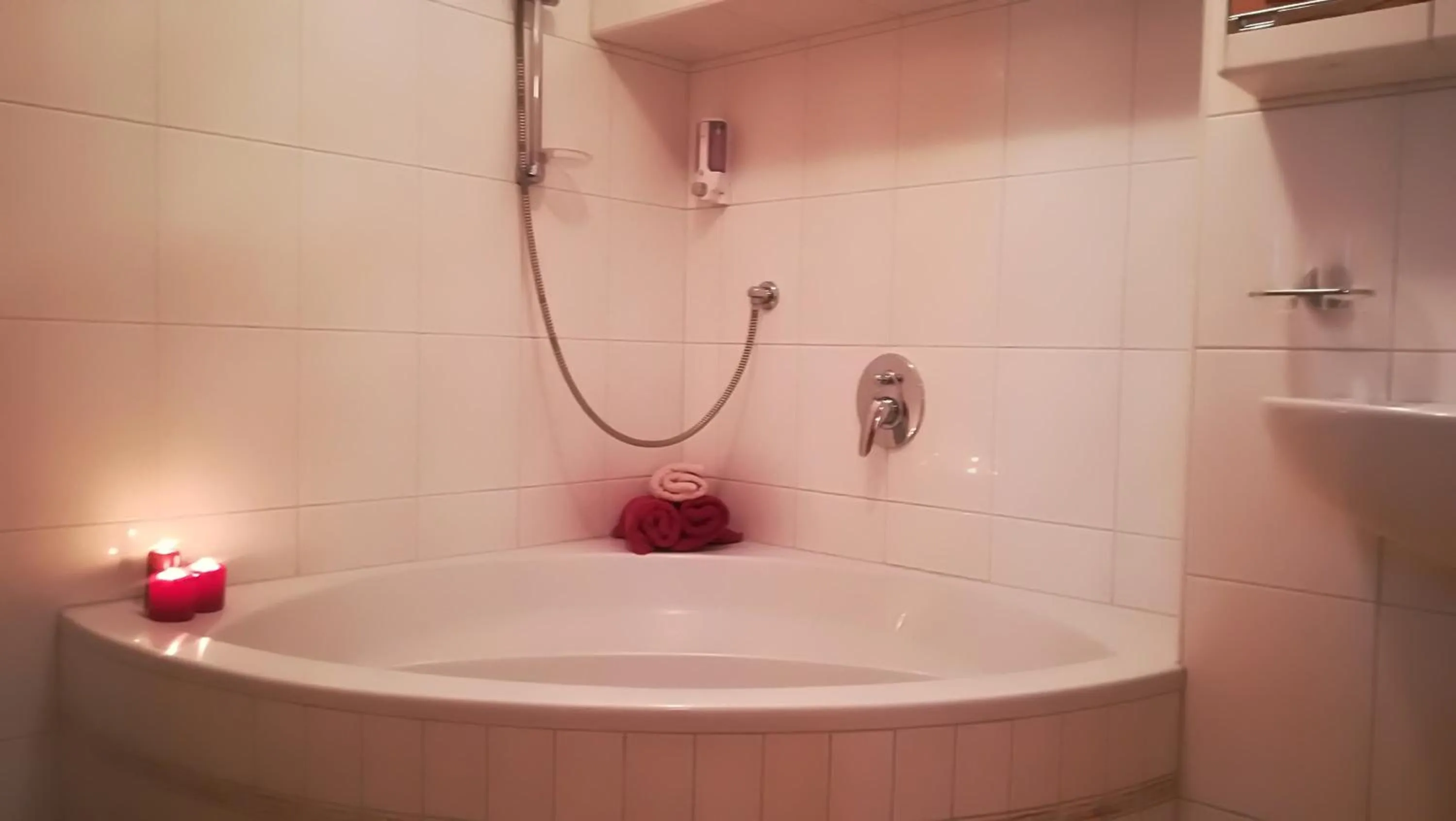 Bathroom in Apart Austria