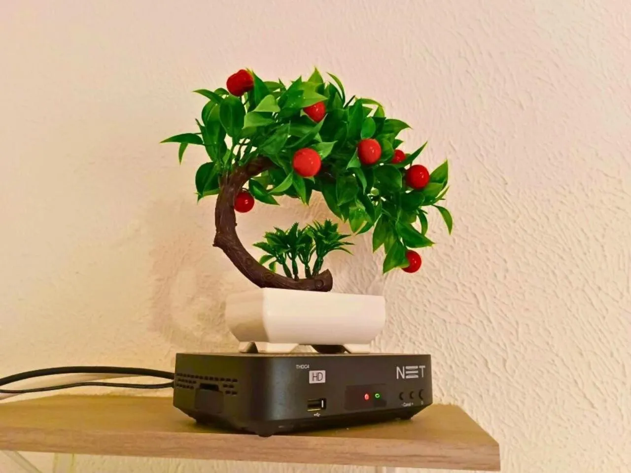 Decorative detail in Pousada Executiva SolRiso Aeroporto Florianópolis