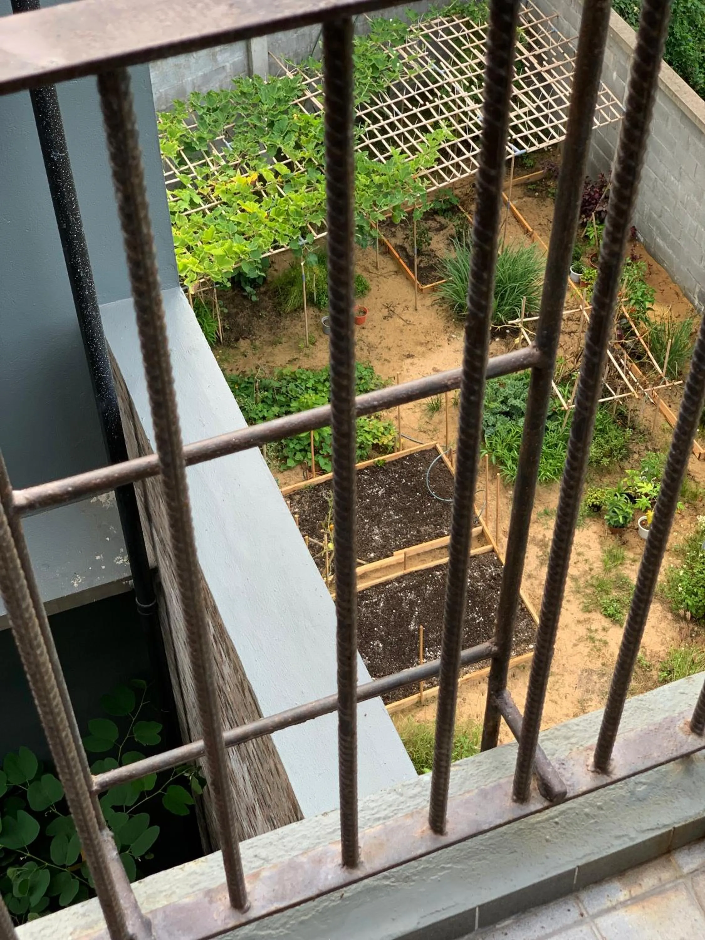 Day in Kaia Gallery Hotel Hoi An