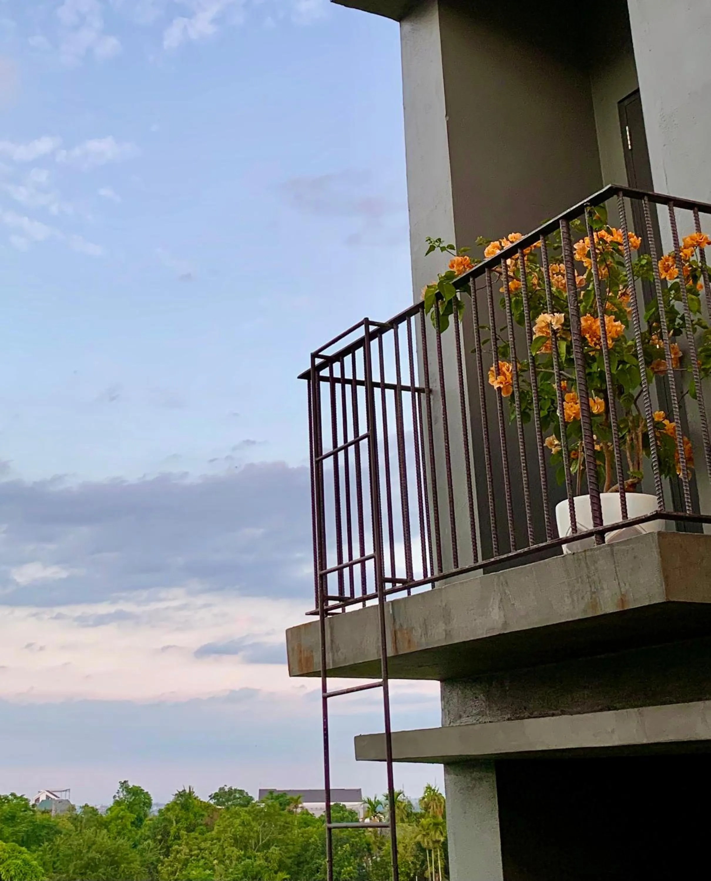 View (from property/room) in Kaia Gallery Hotel Hoi An