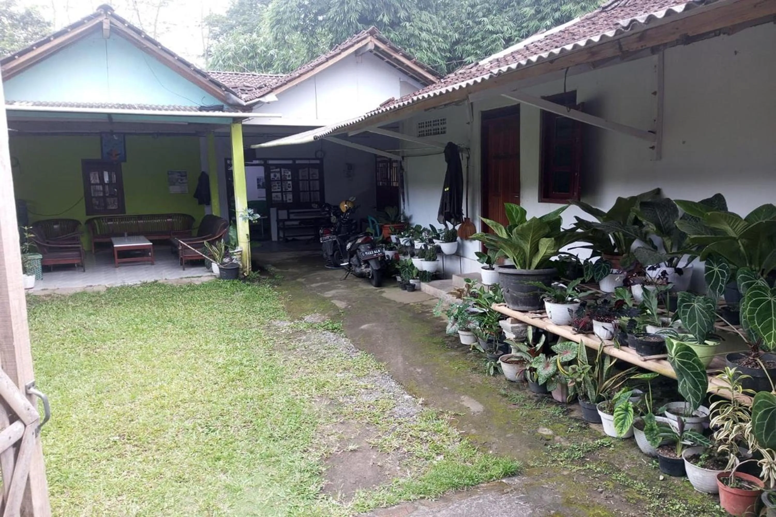 Property building in Homestay Wijaya Mulya