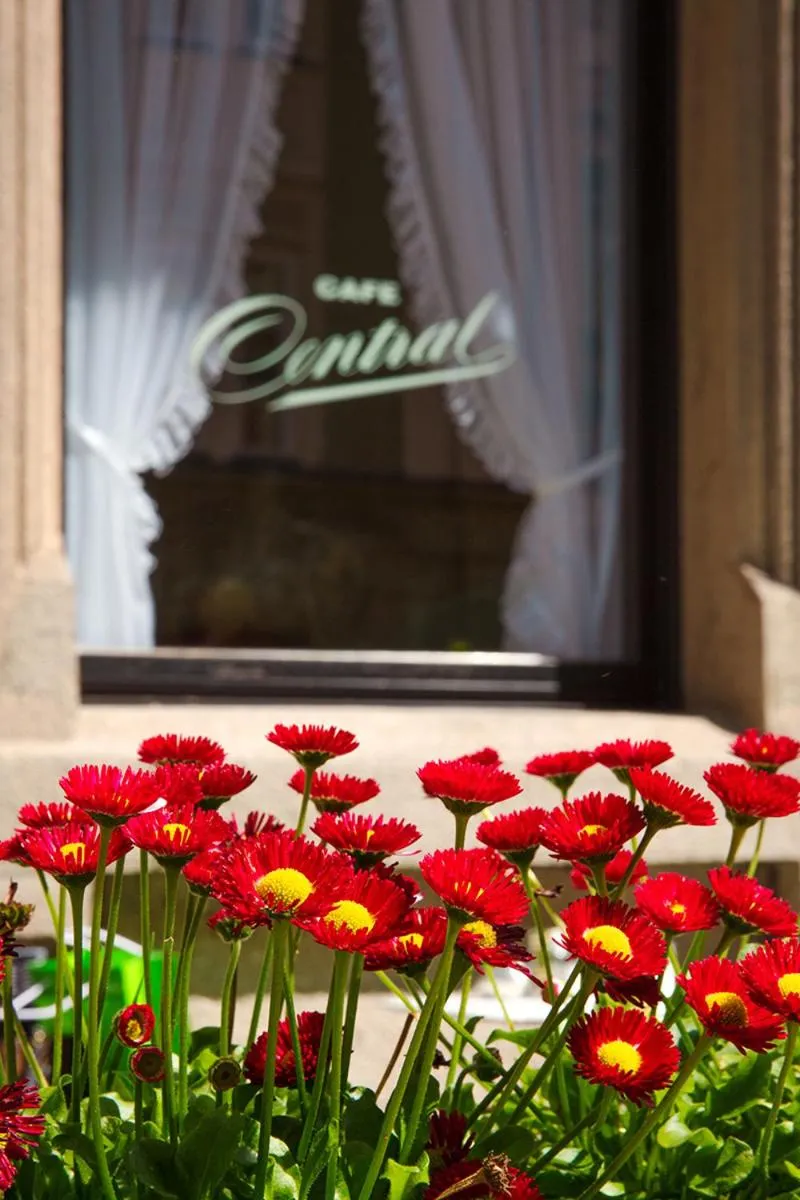 Garden view in Hotel Central
