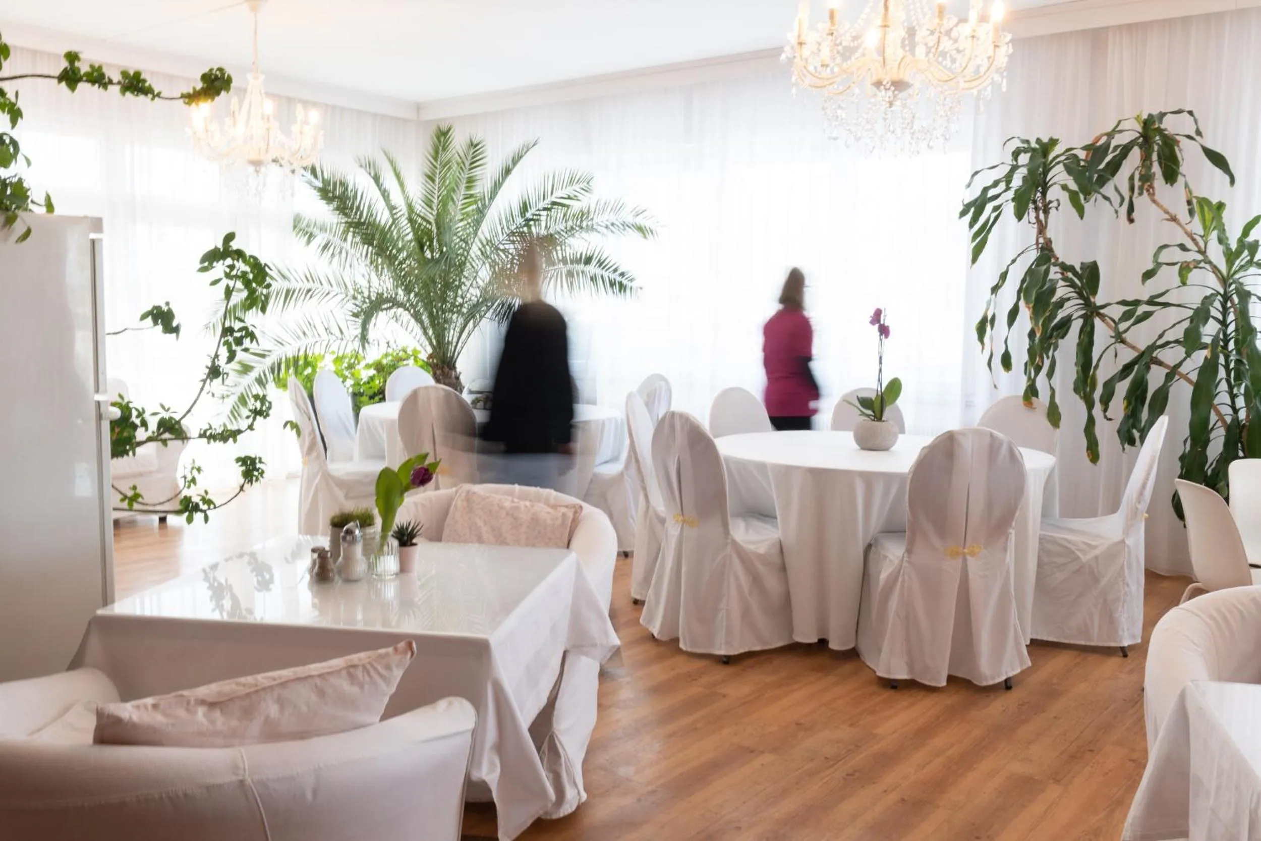 Restaurant/places to eat in HOTEL MARIA