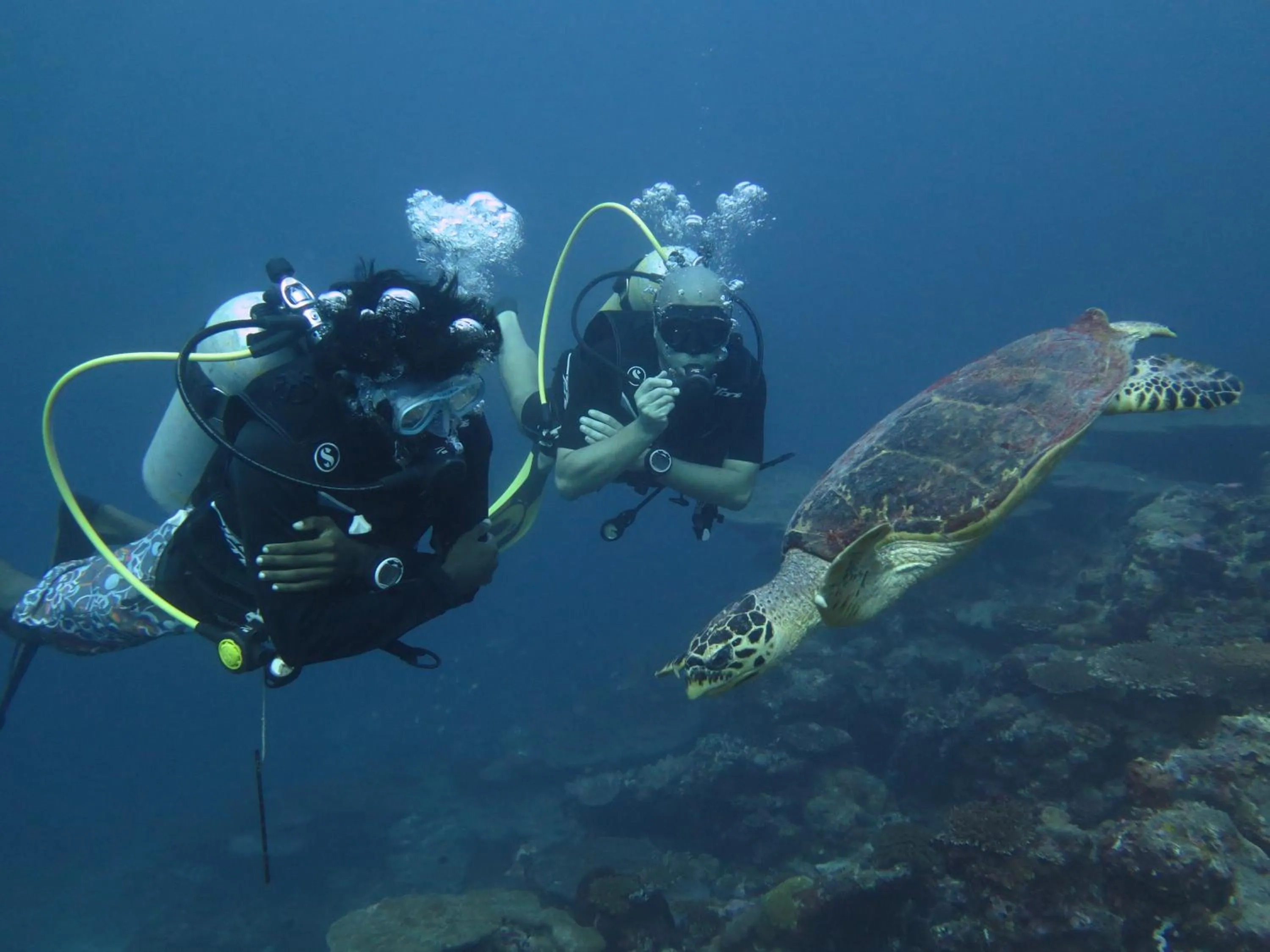 Vaali Maldives Island Escapes & Dive