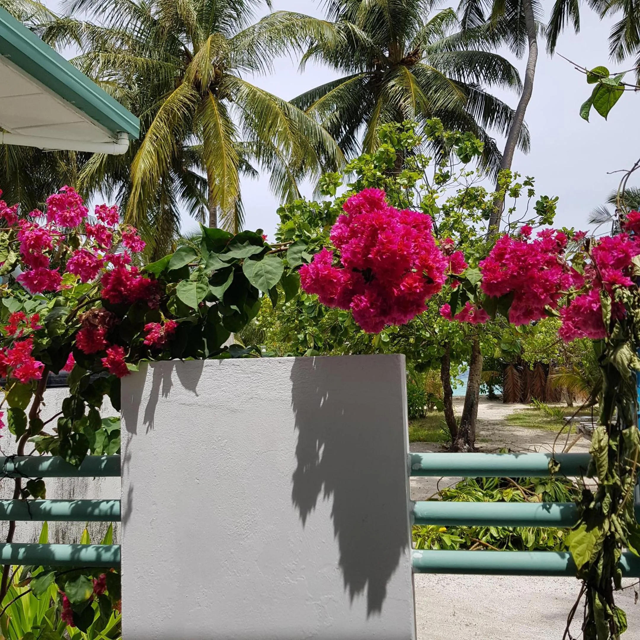 Vaali Maldives Island Escapes & Dive