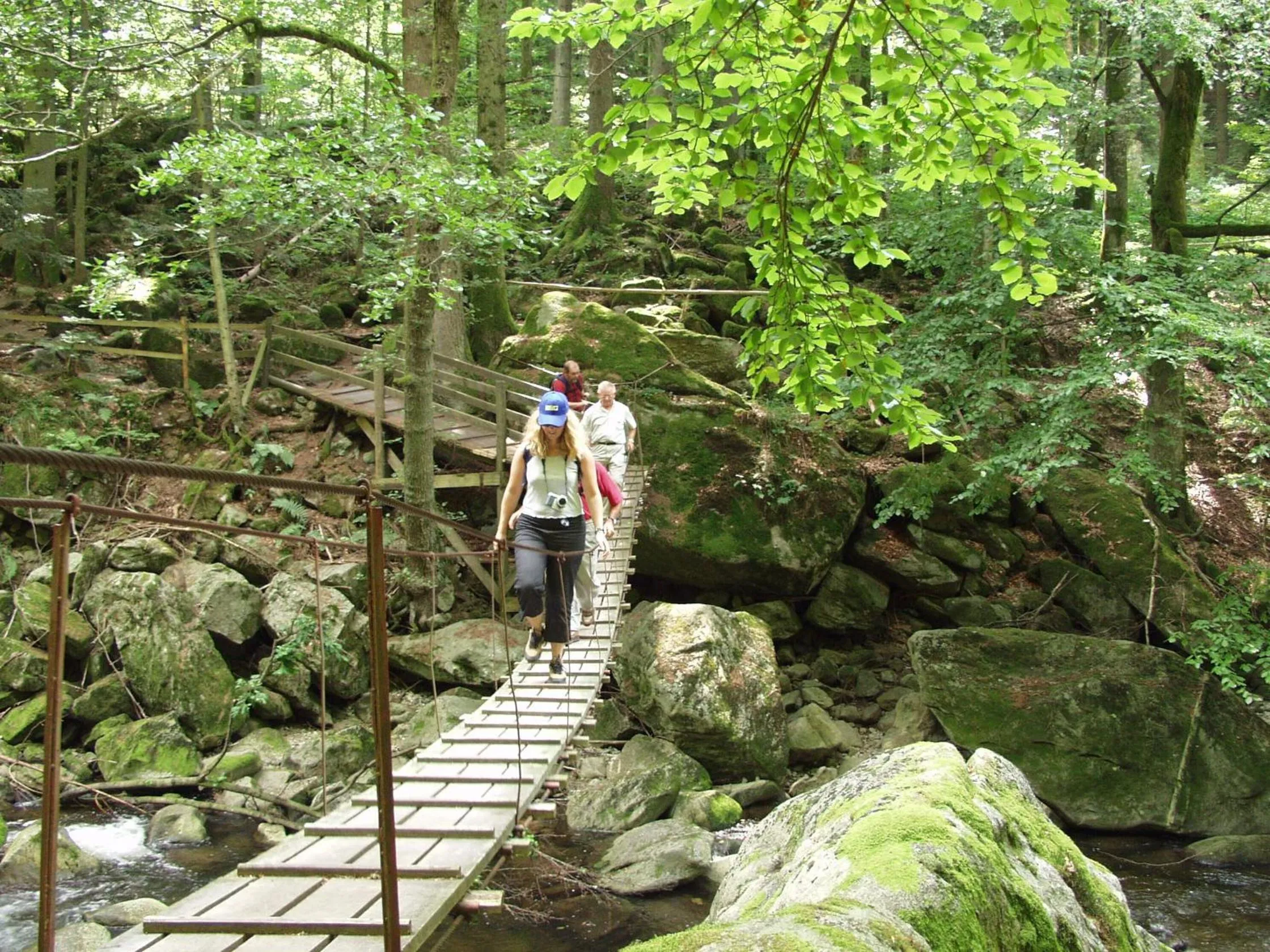 Area and facilities in Genusshotel "Zum Wendl"