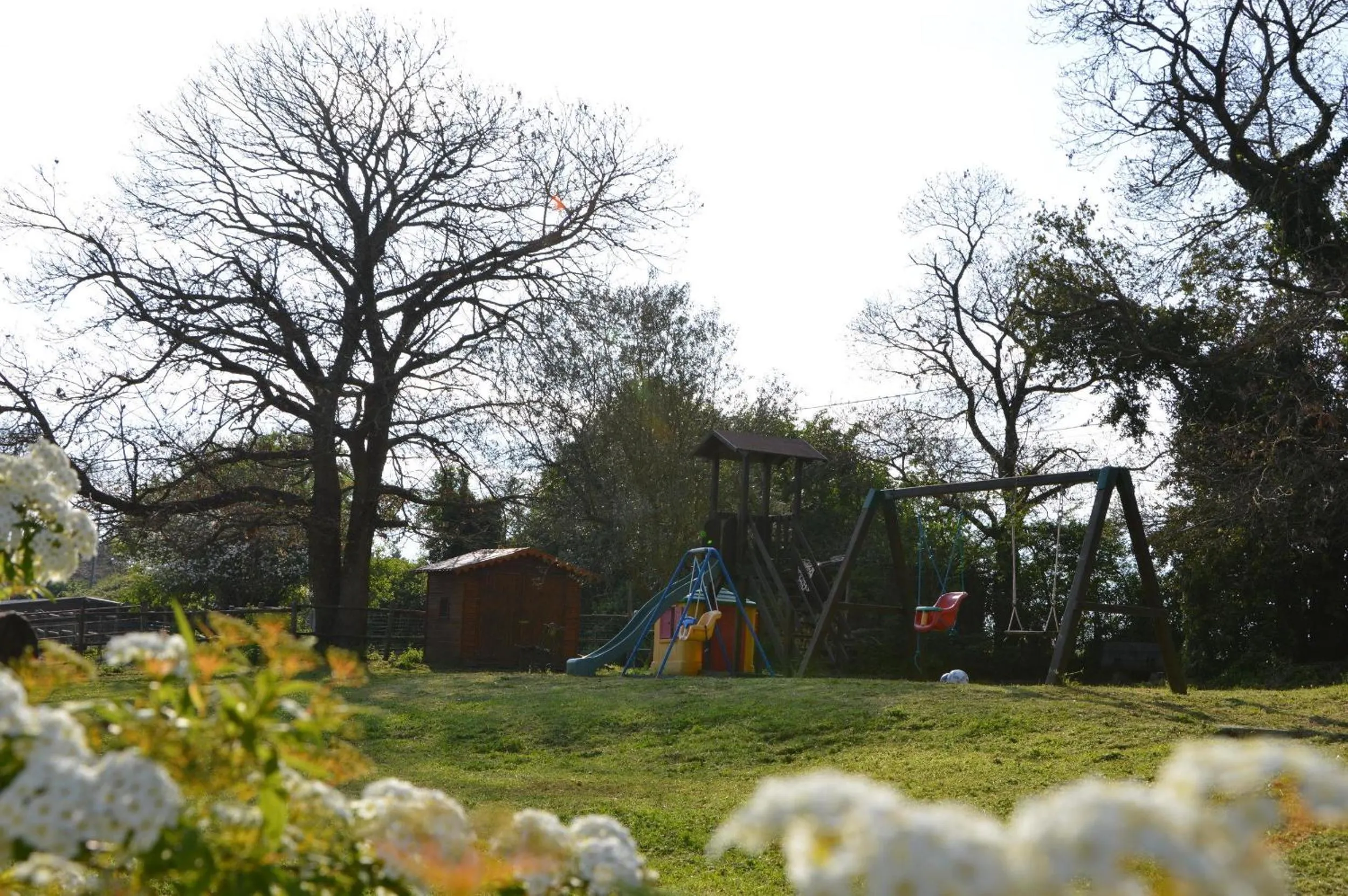 Activities in Agriturismo Tenuta Buon Respiro