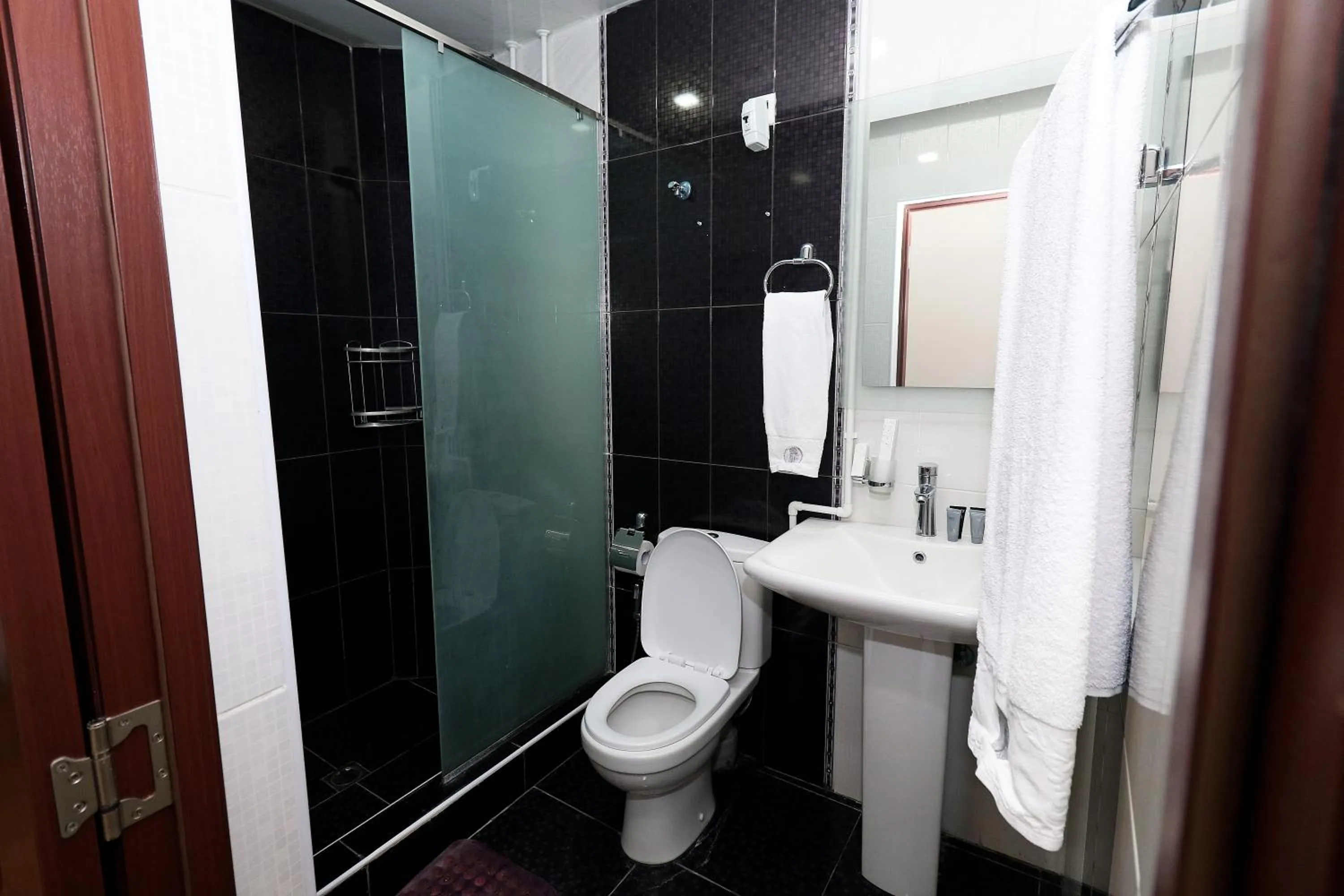 Shower in Hotel Tigran Mets Yerevan