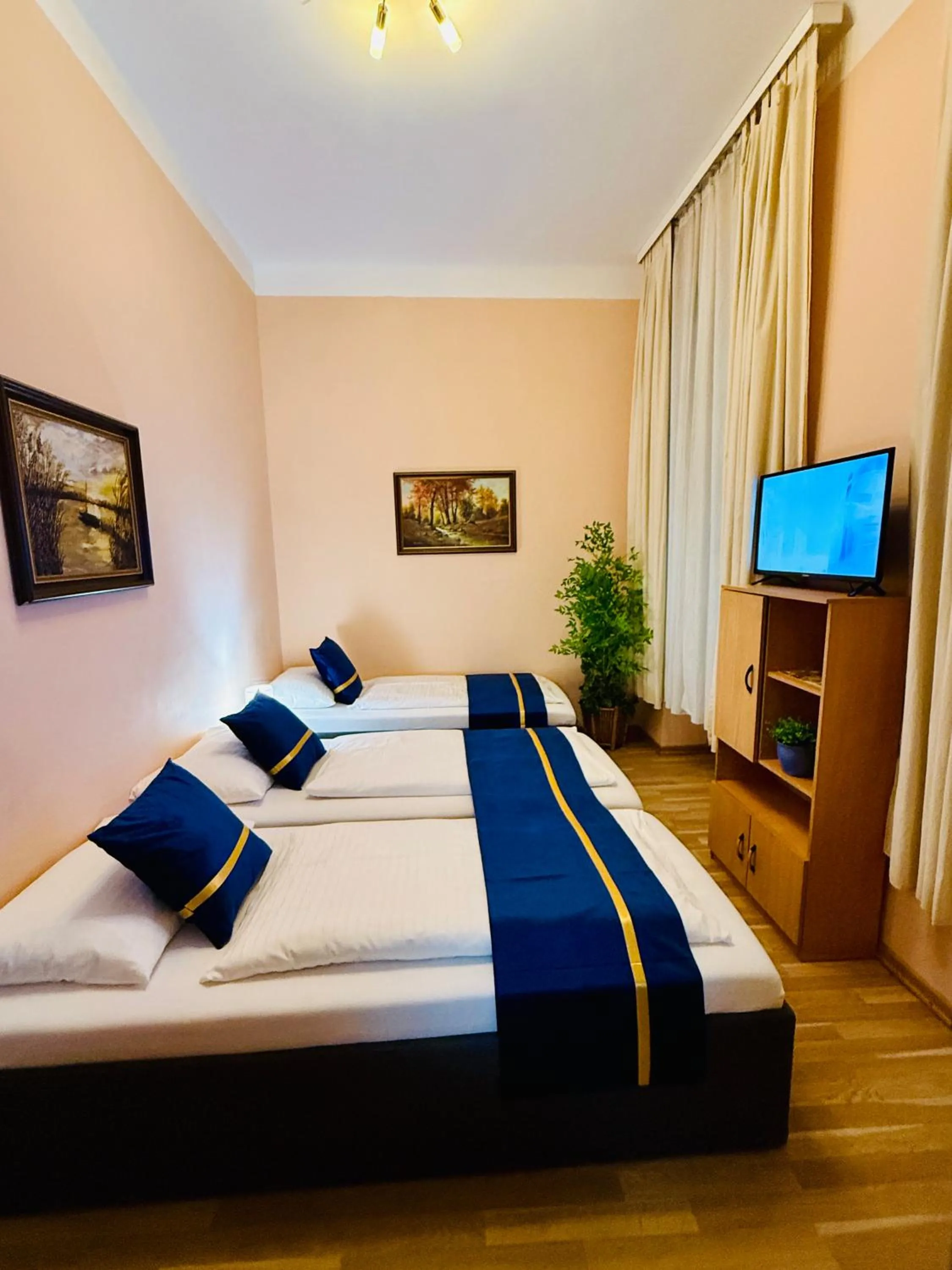 Bed in Pension Liechtenstein