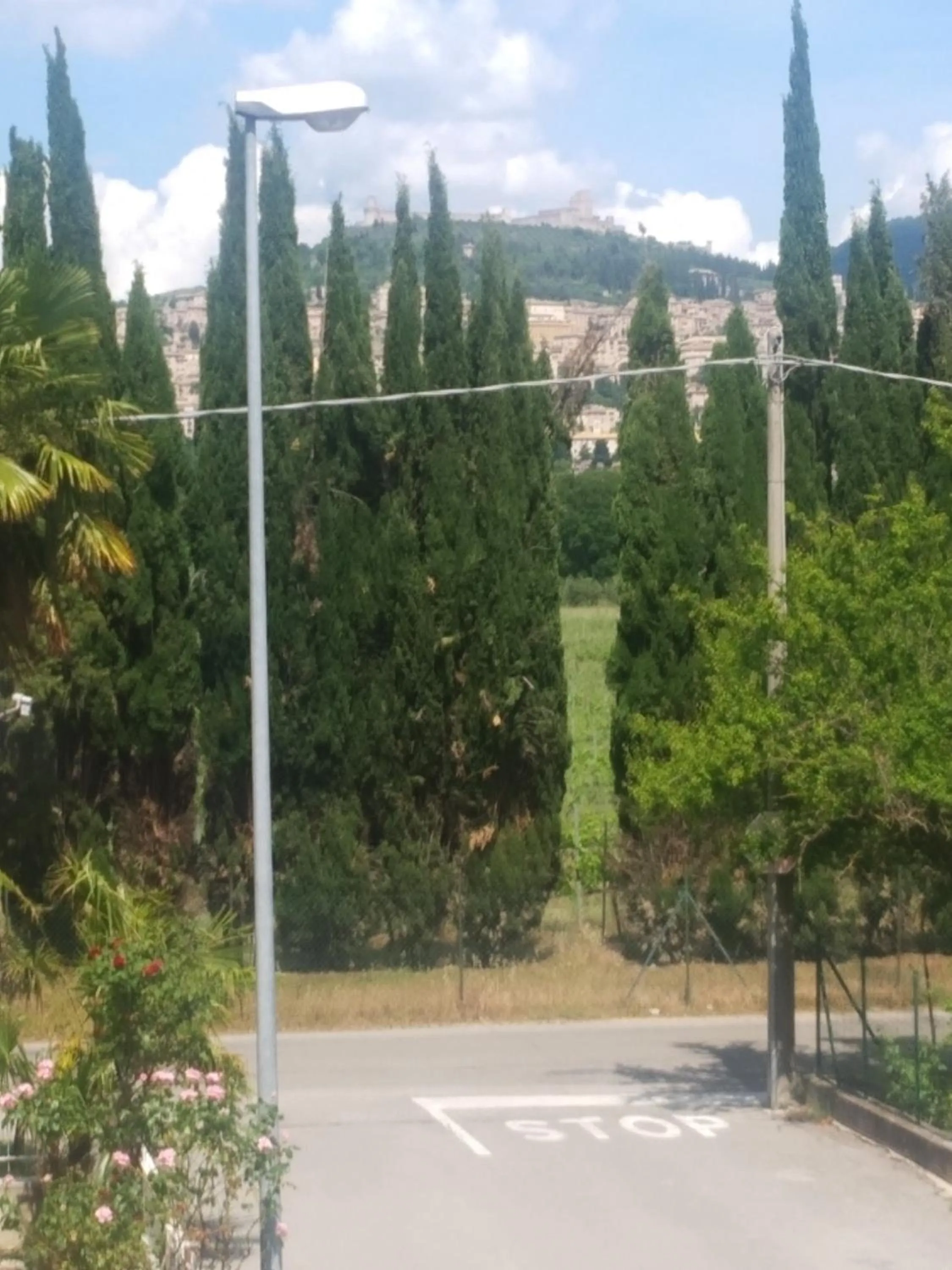 Neighbourhood in B&B Iris