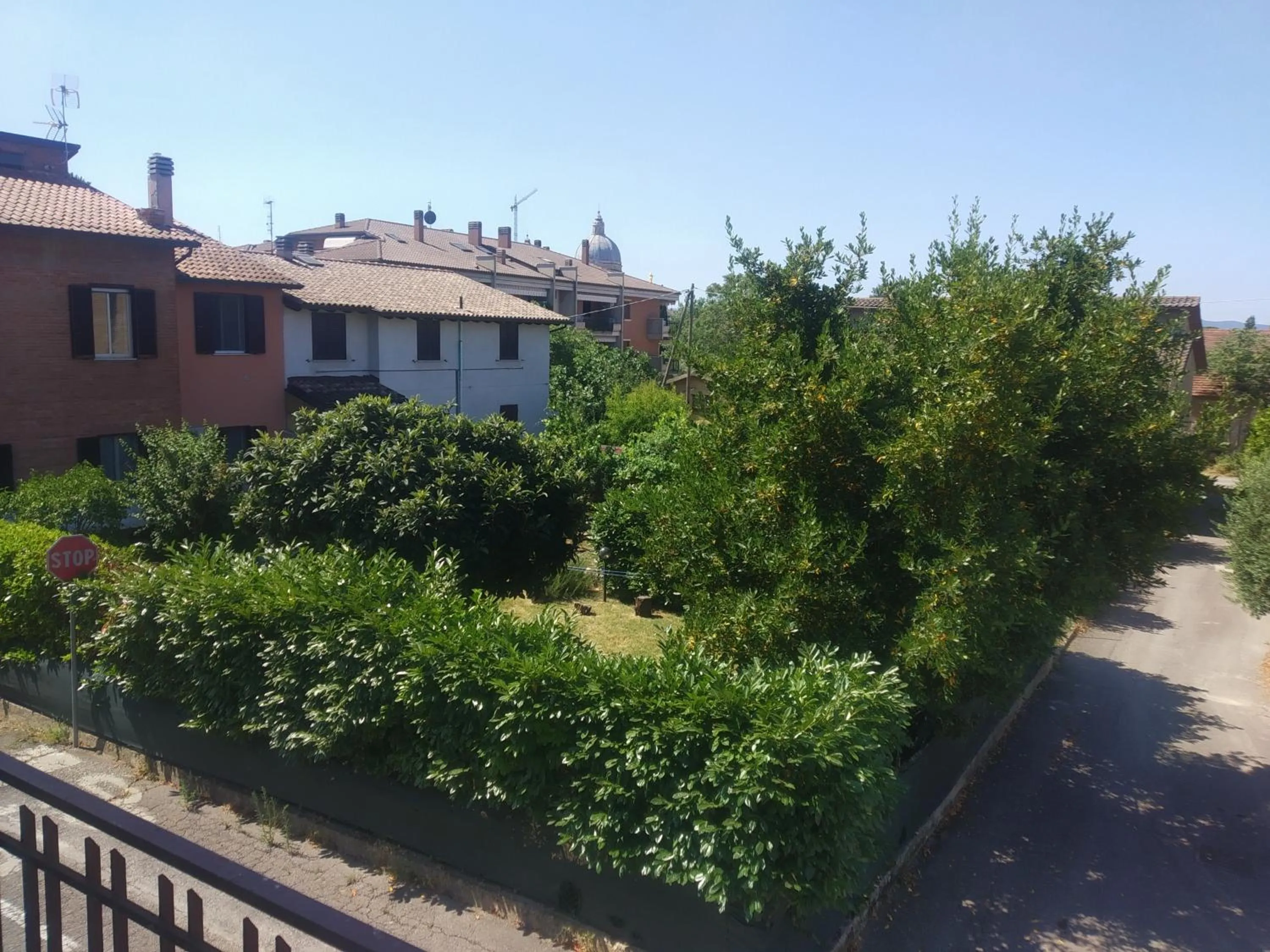 Neighbourhood in B&B Iris