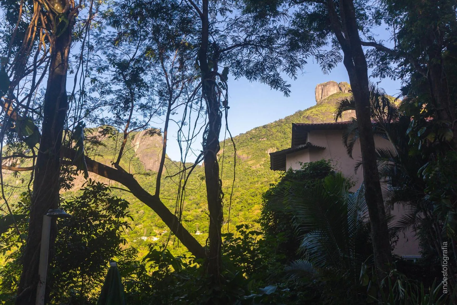 Barra da Tijuca Guest Houses