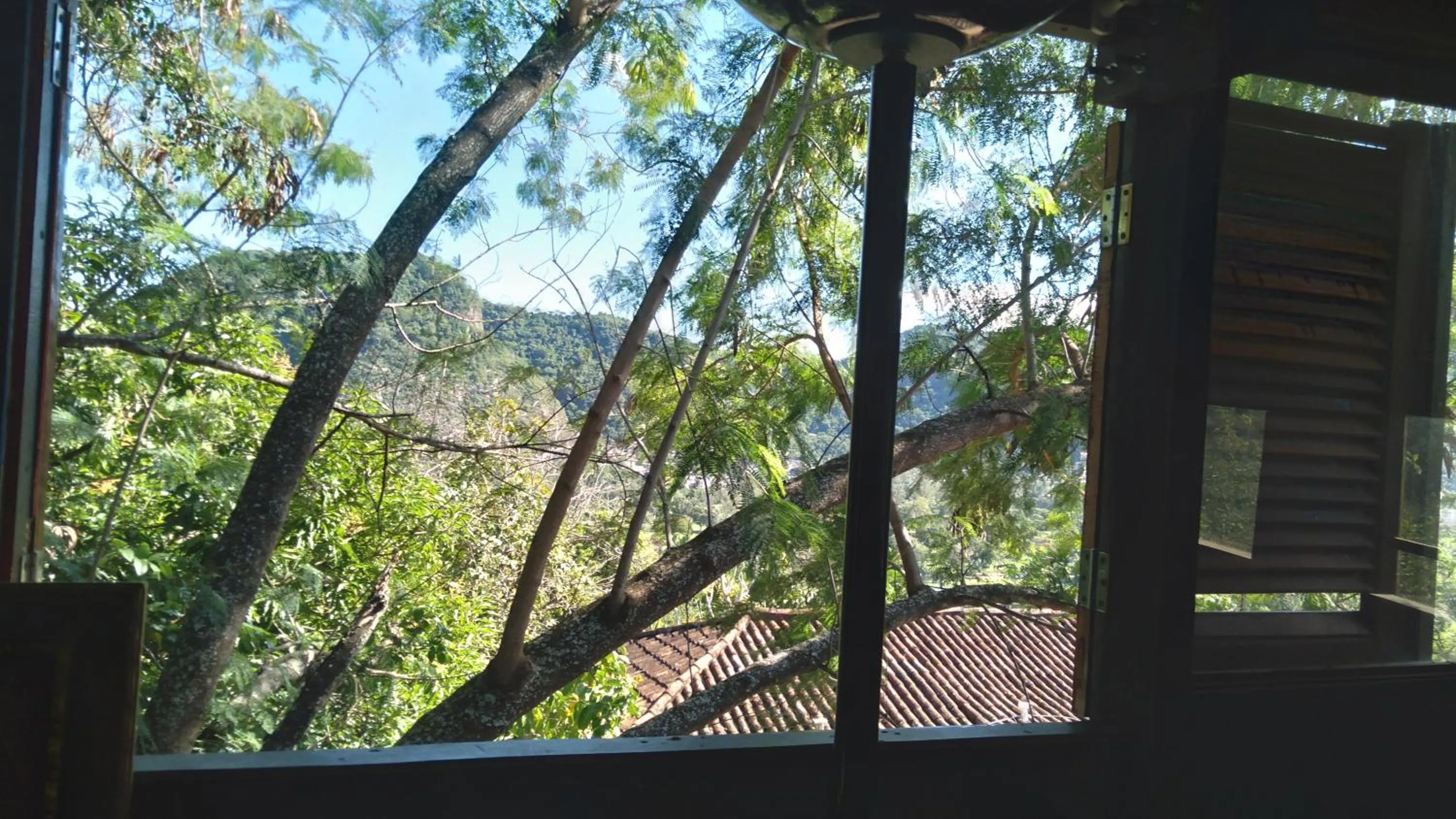 Natural landscape in Barra da Tijuca Guest Houses