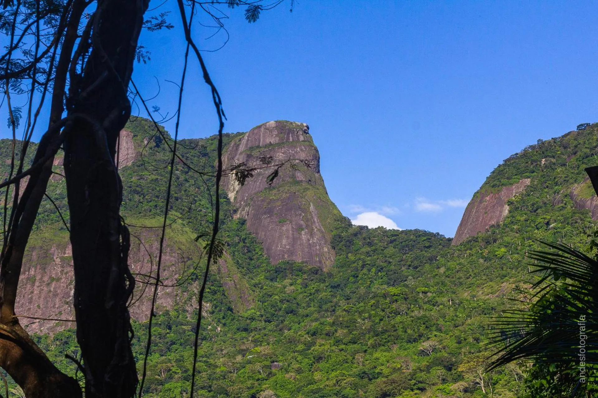 Barra da Tijuca Guest Houses