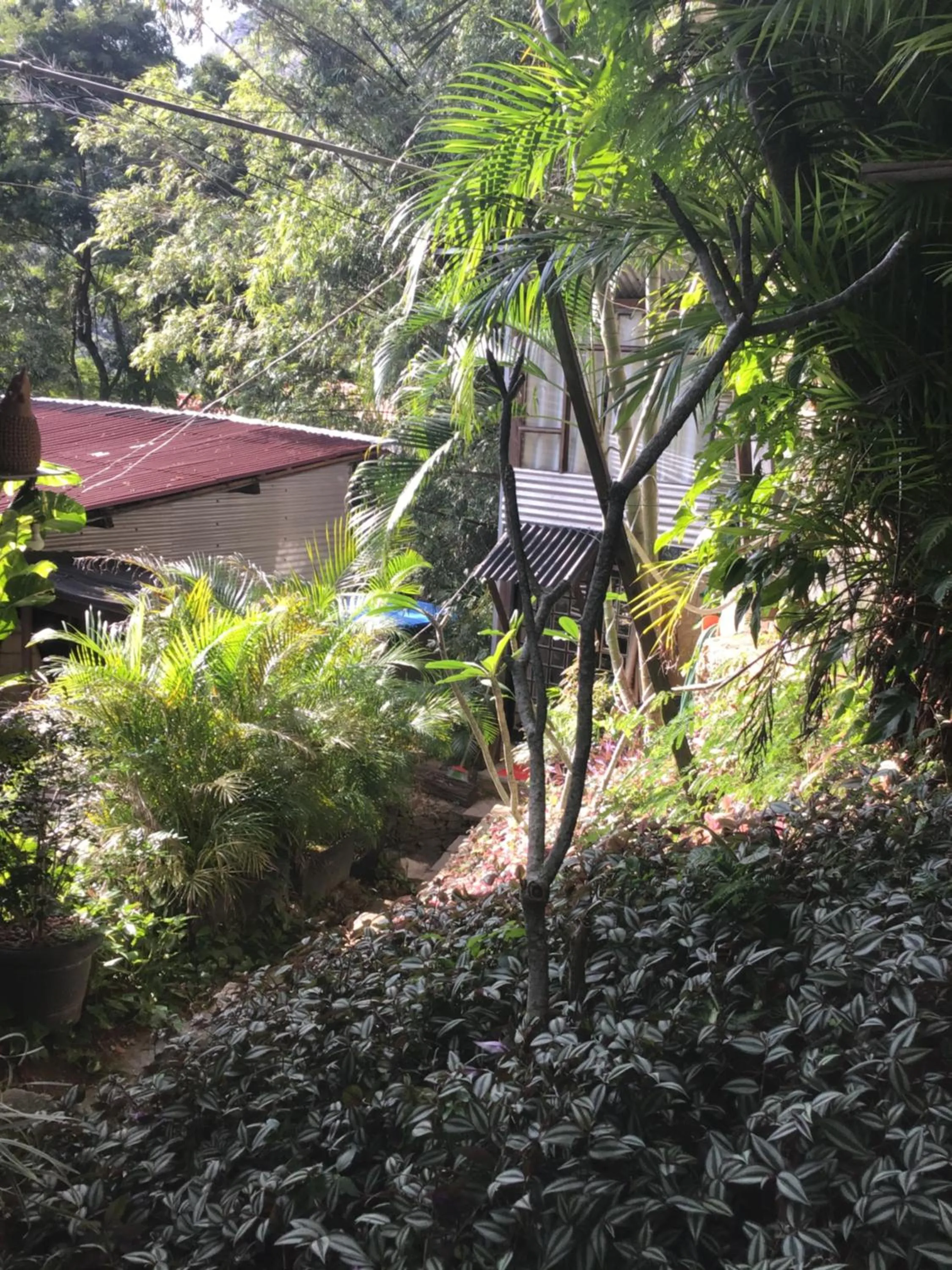 Barra da Tijuca Guest Houses