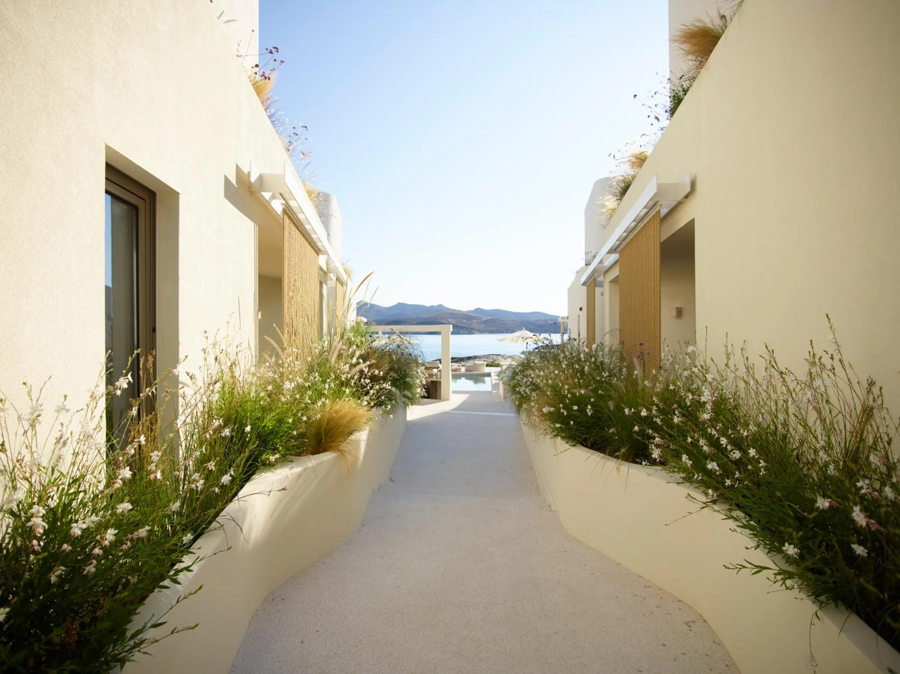 Property building in White Pebble Suites