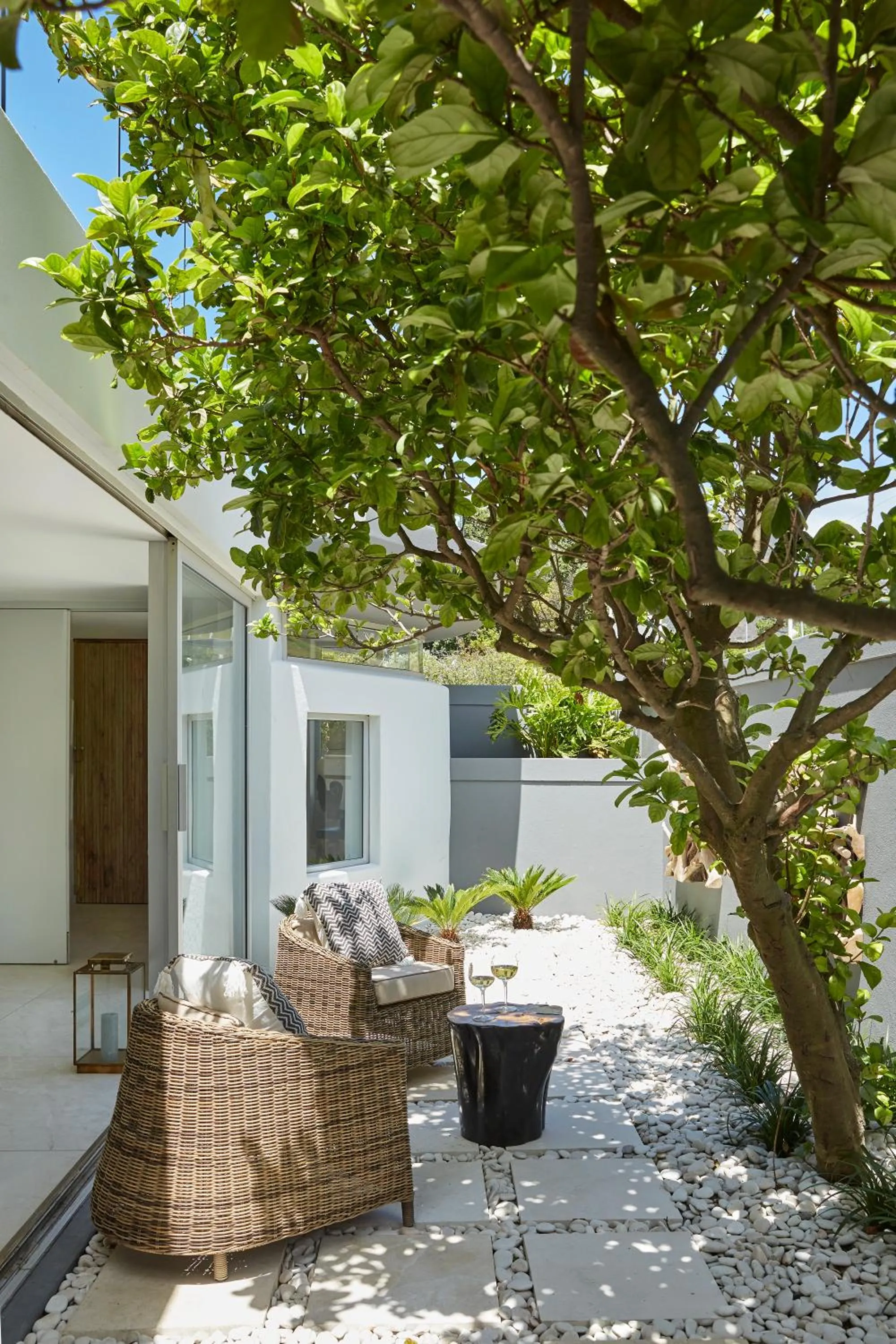 Garden in Atzaró Cape Town