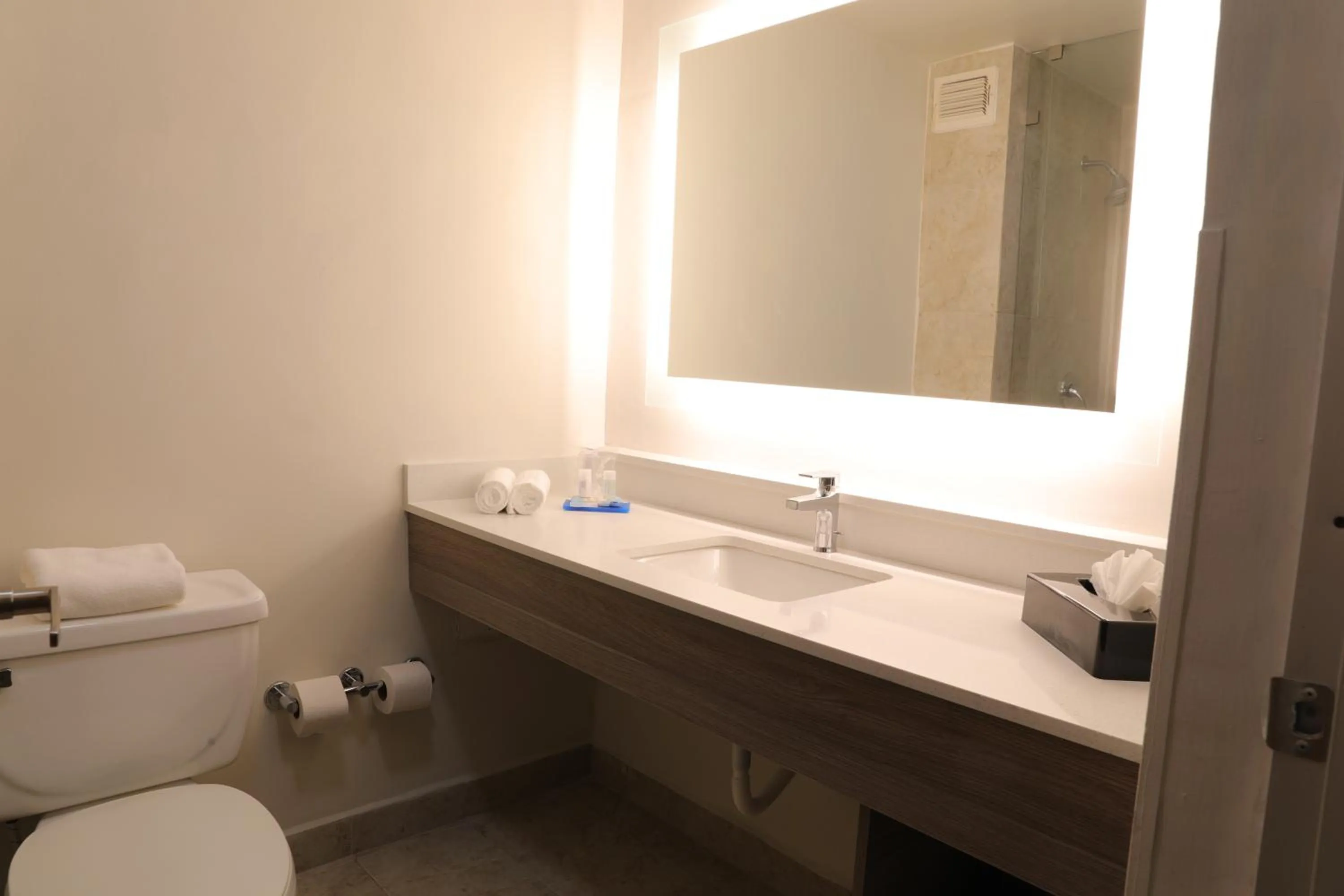 Bathroom in Holiday Inn Express Piedras Negras by IHG