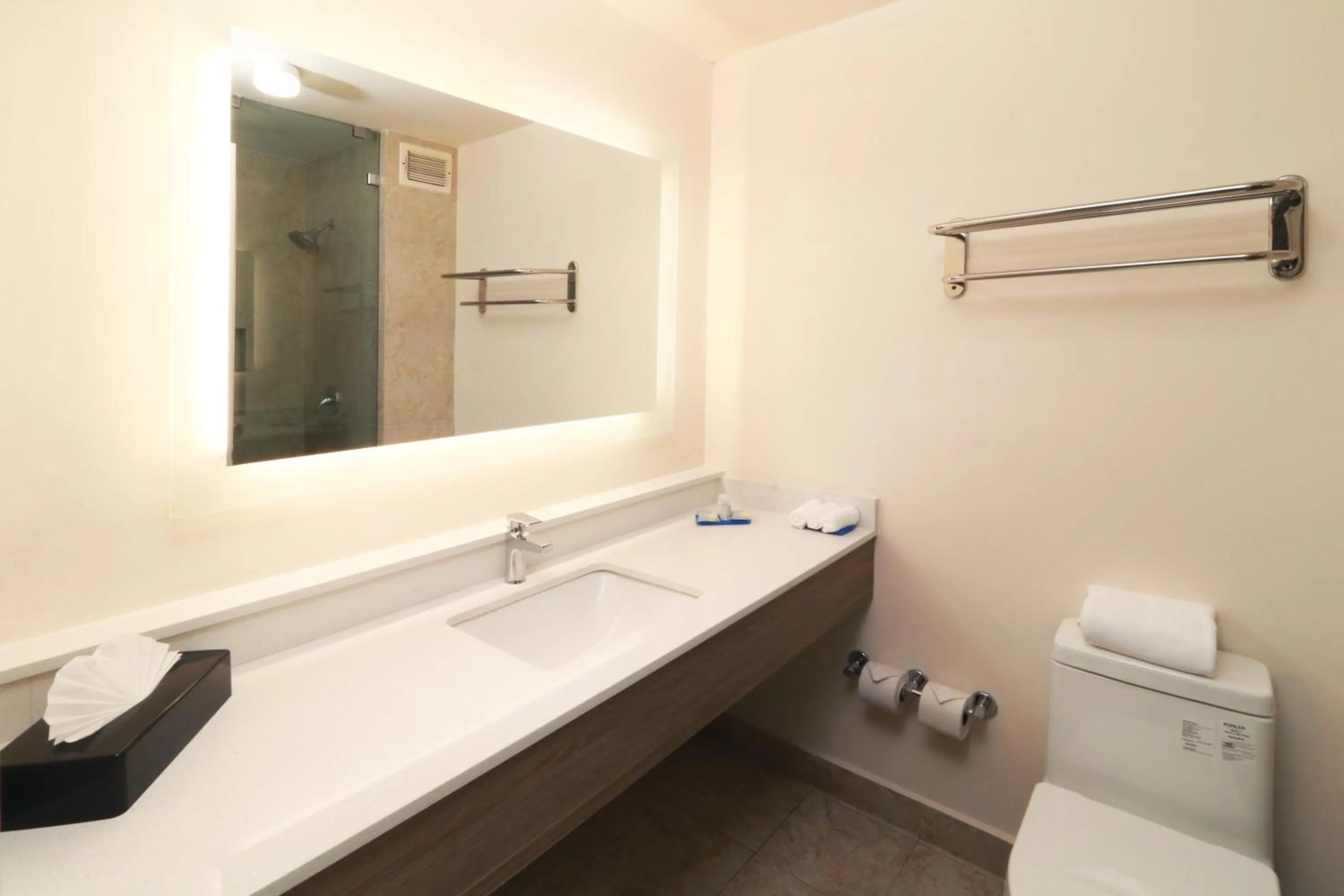 Bathroom in Holiday Inn Express Piedras Negras by IHG
