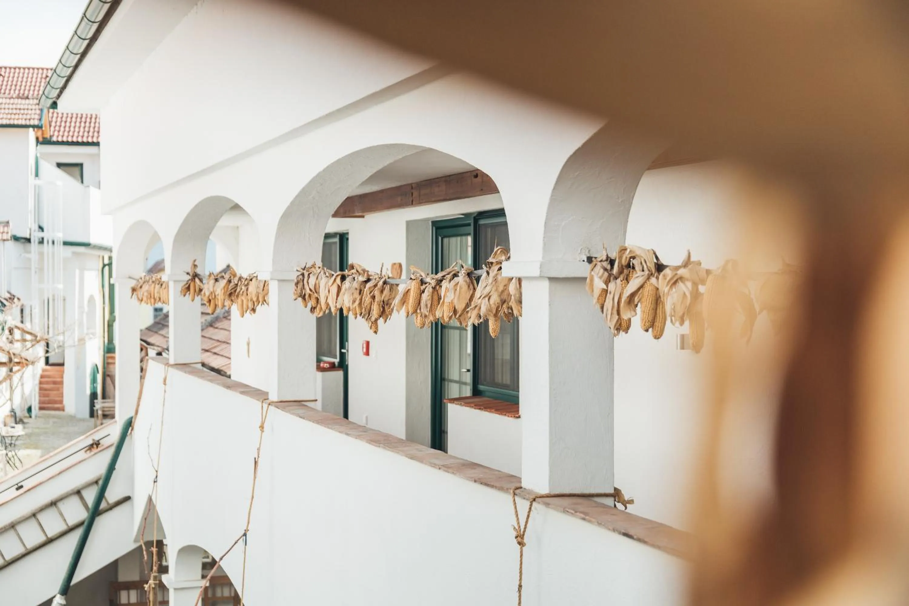 Patio in Weinwirtshaus Wlaschits