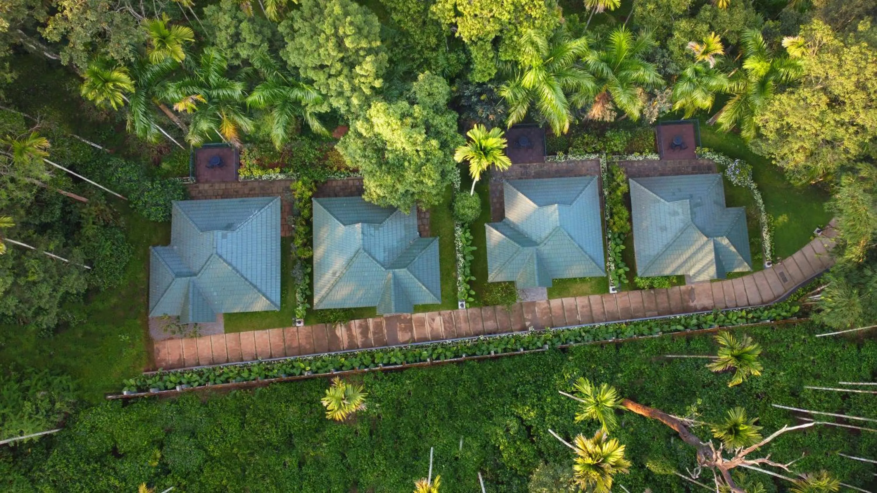 Bird's eye view in The Woods Resorts Wayanad