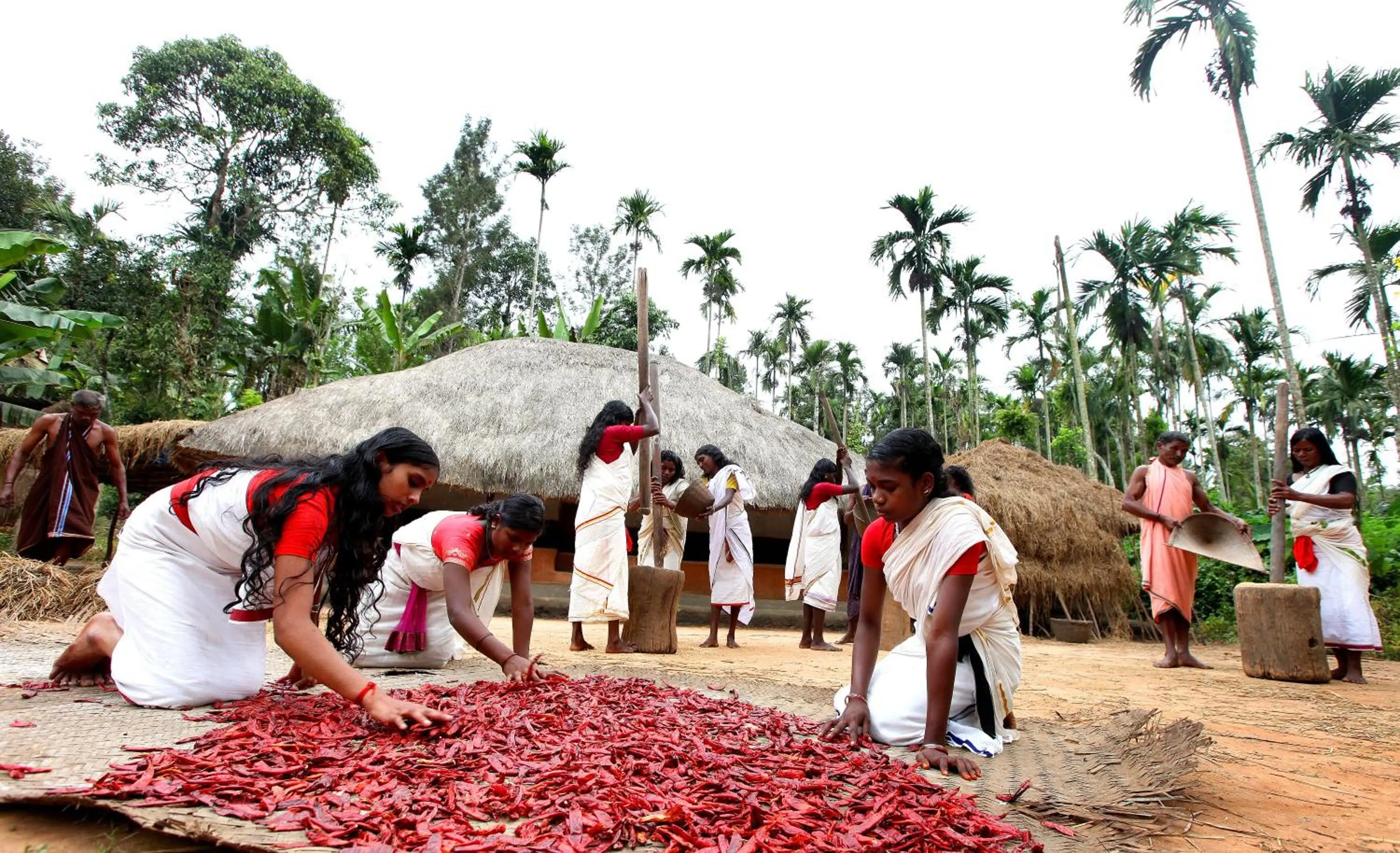 Nearby landmark in The Woods Resorts Wayanad