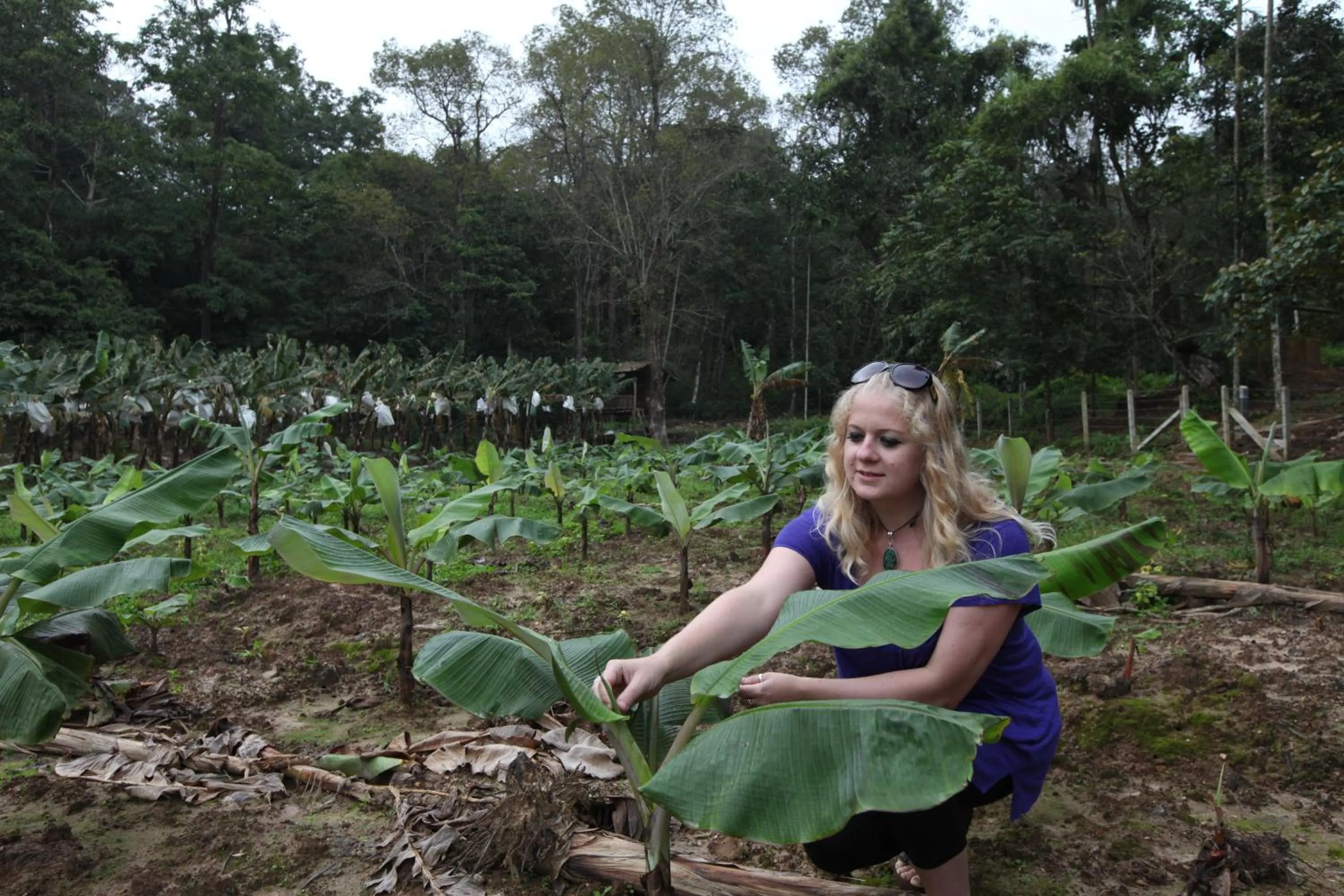 Natural landscape in The Woods Resorts Wayanad