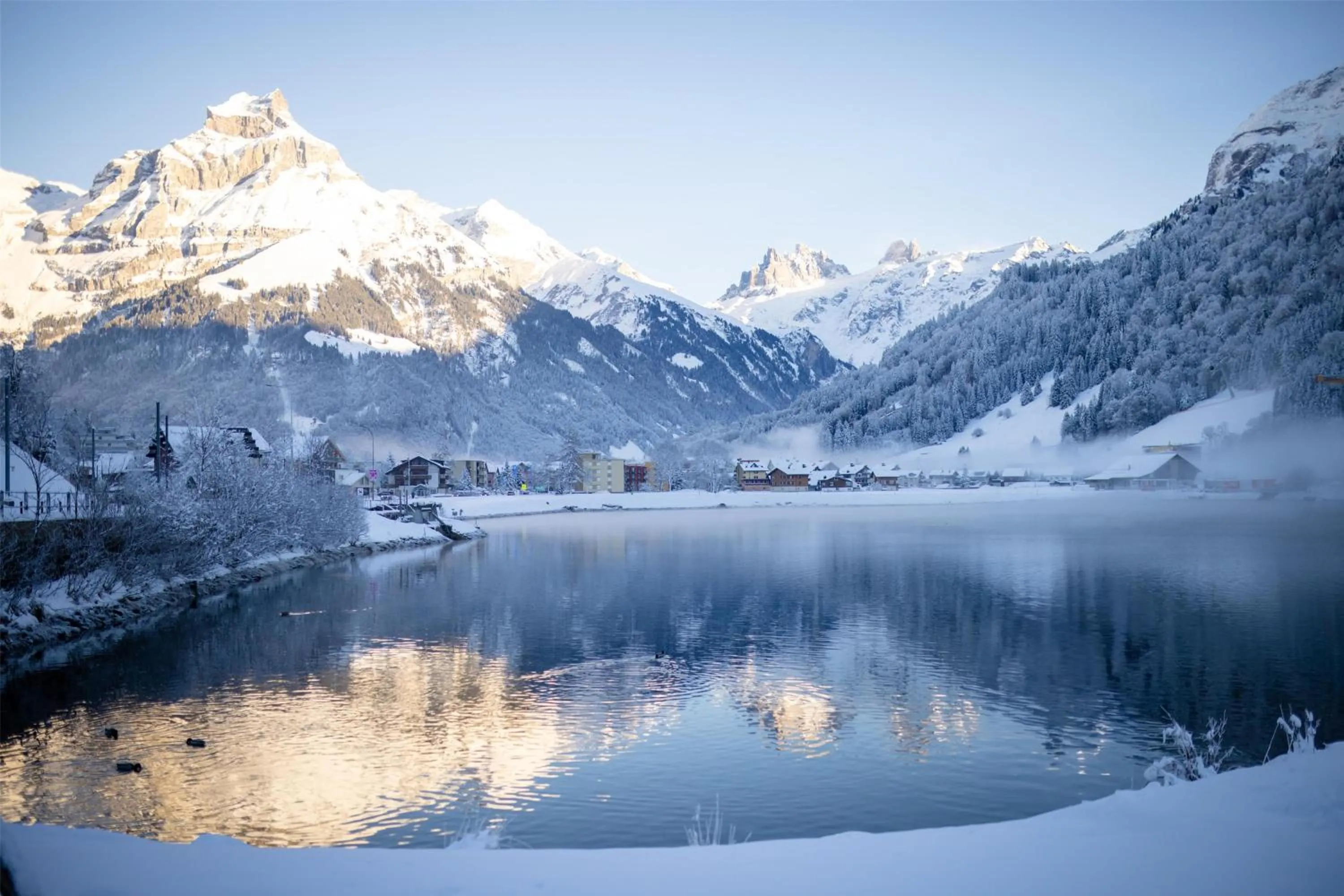 Photo of the whole room in Kempinski Palace Engelberg