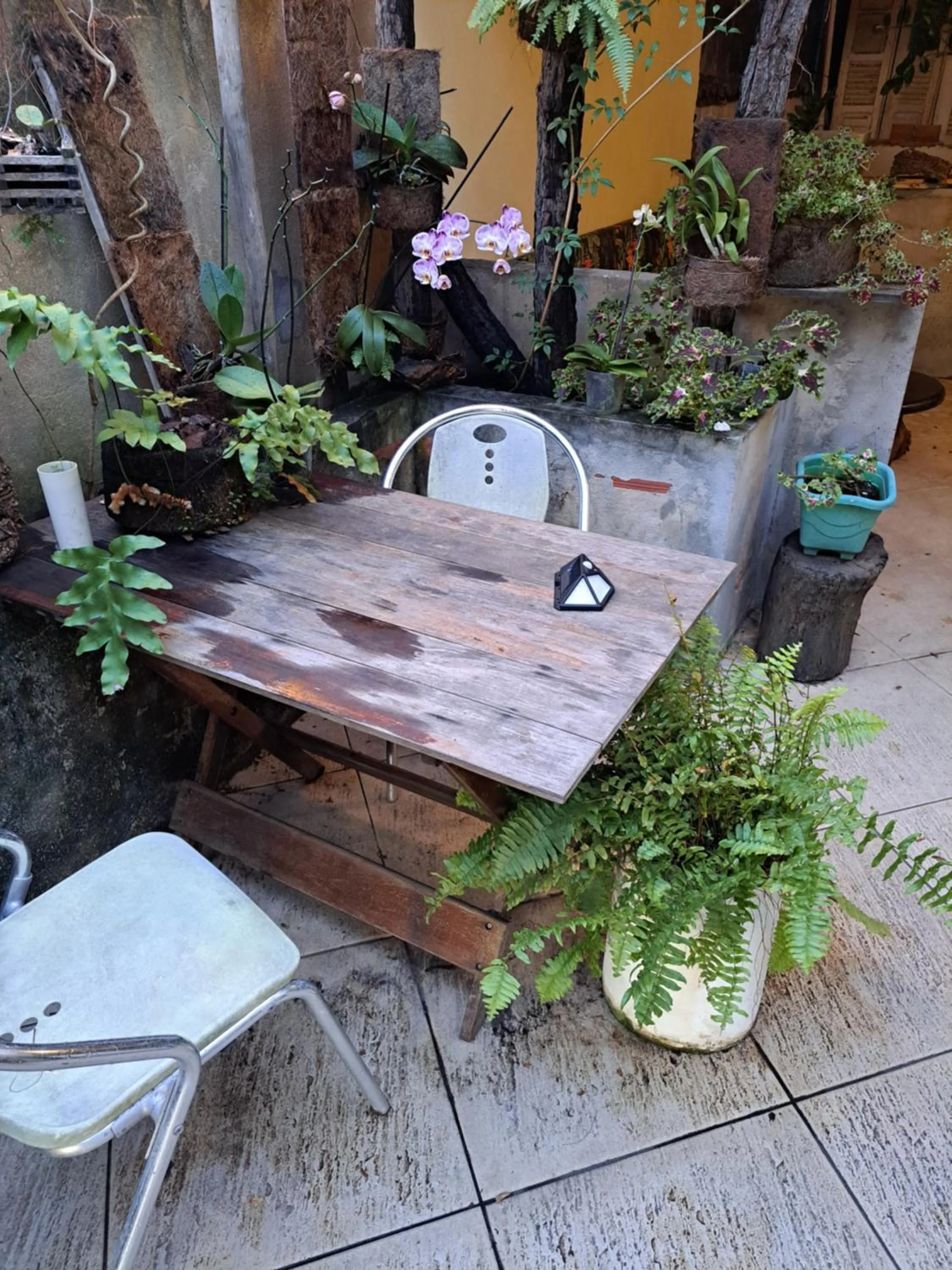 Garden in Beach Front Village