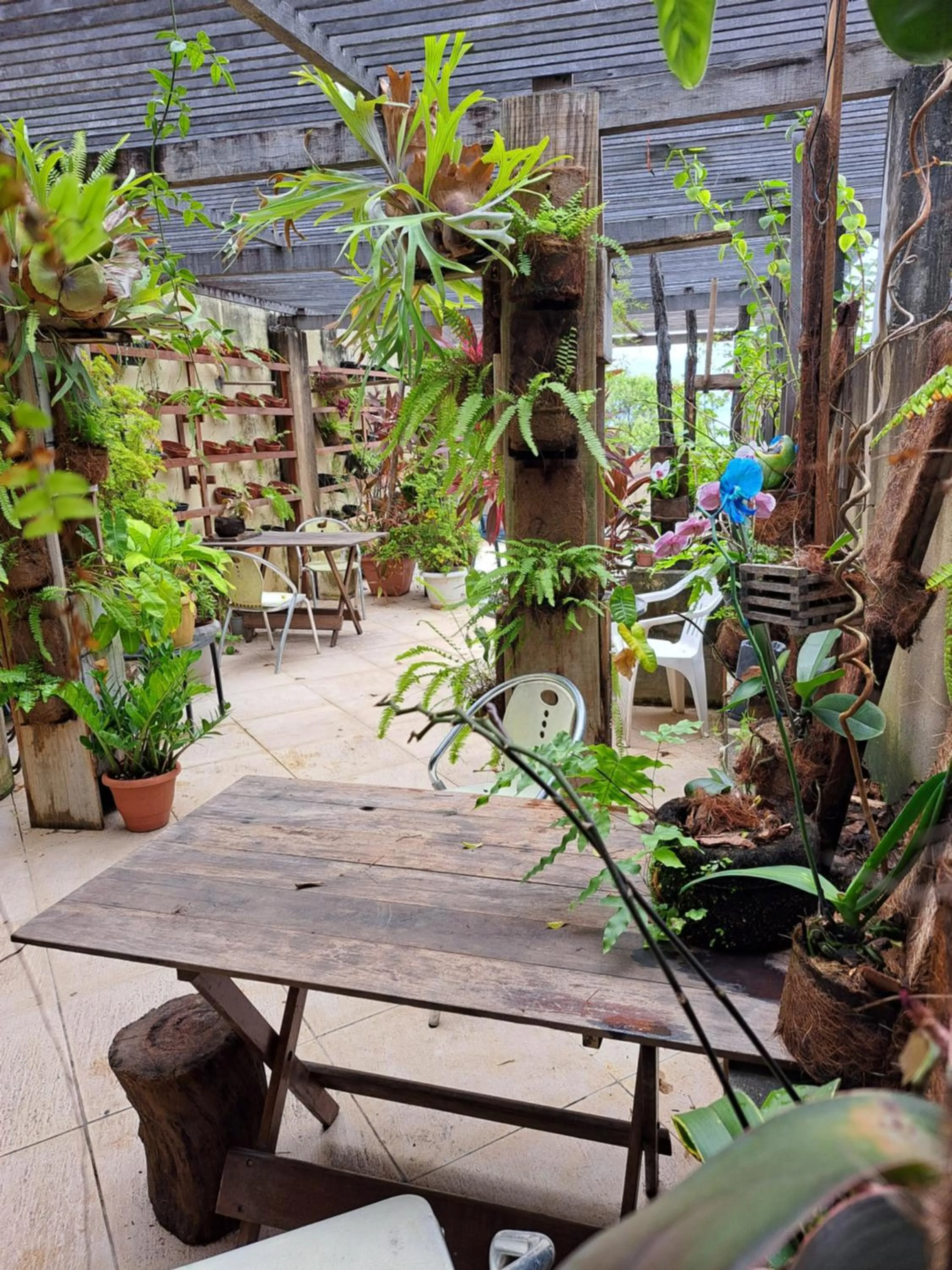 Garden in Beach Front Village