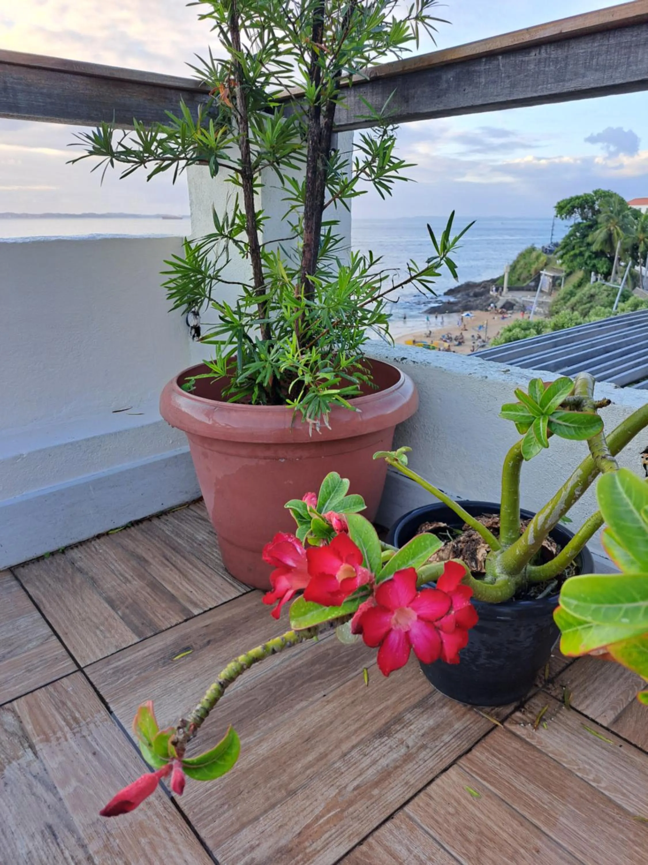 Balcony/Terrace in Beach Front Village