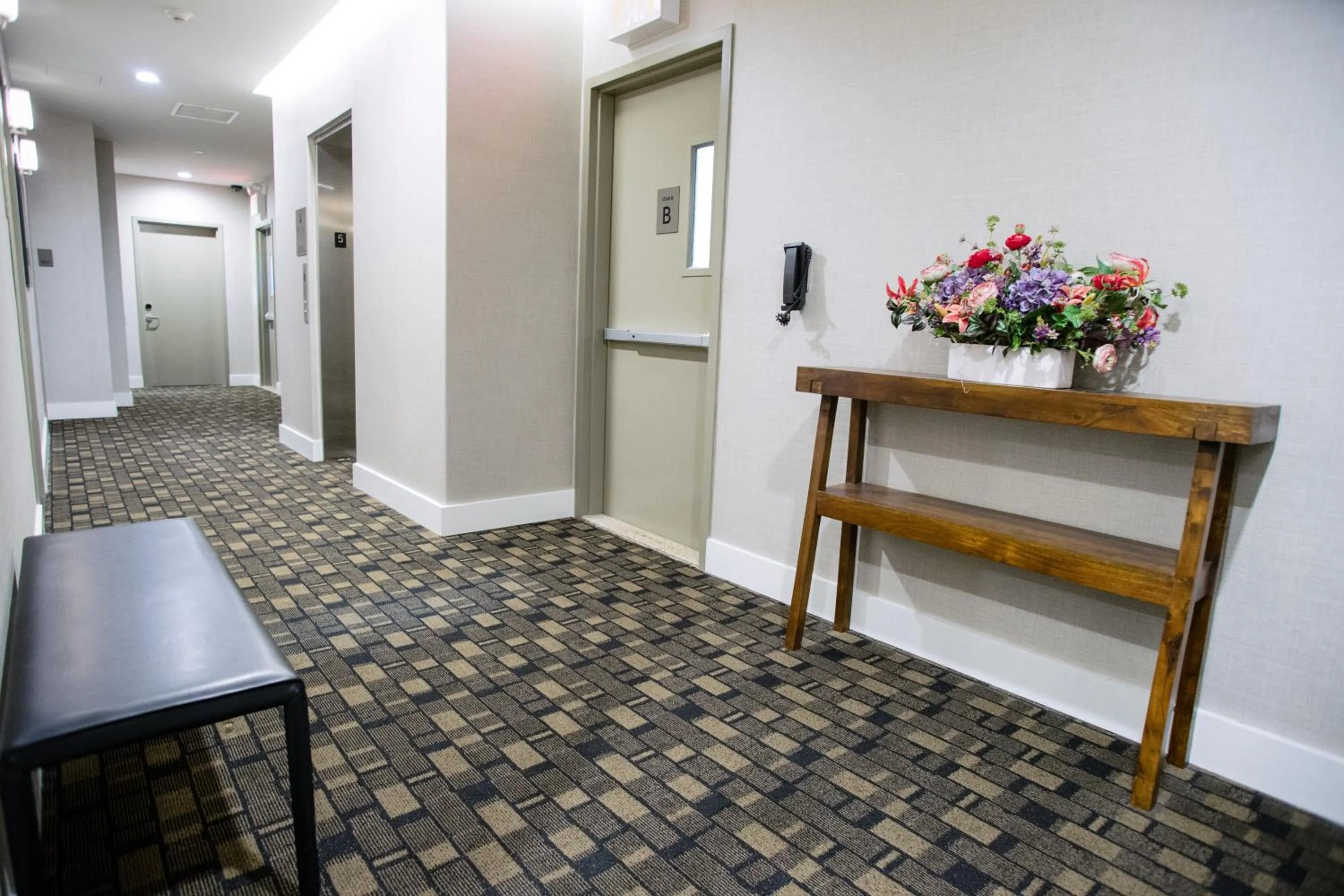 Area and facilities in Leon Hotel LES