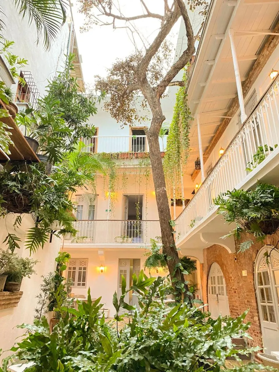 Property building in Mosquito Boutique Hotel Zona Colonial