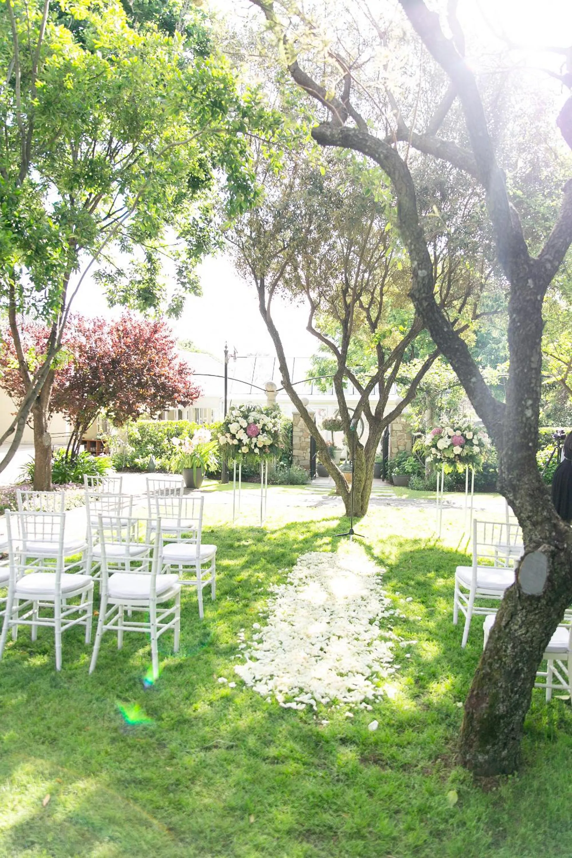 Garden in Burkleigh House