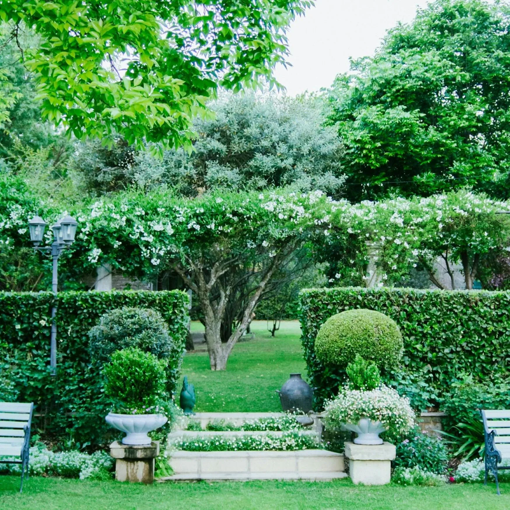 Garden in Burkleigh House