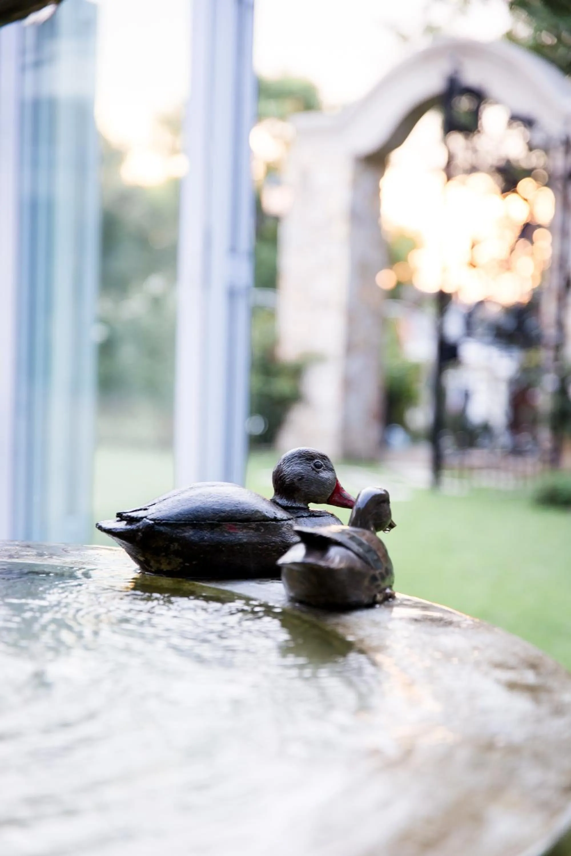 Garden in Burkleigh House