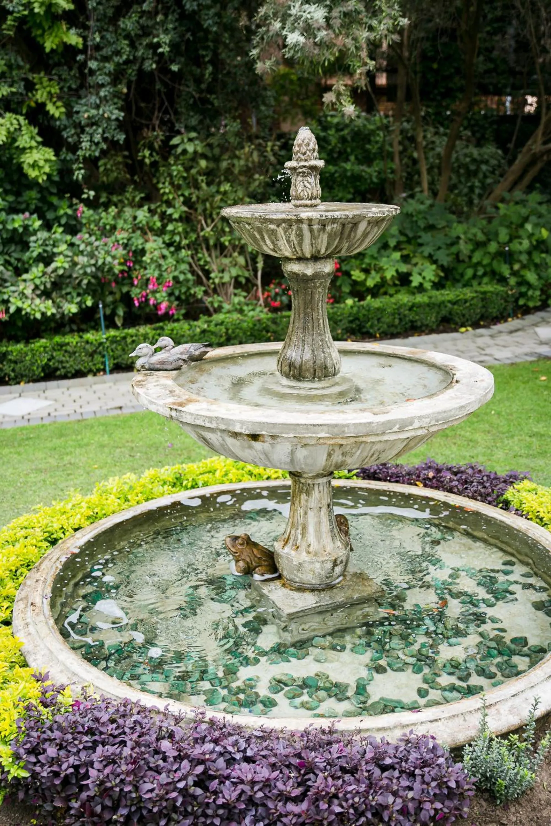 Garden in Burkleigh House
