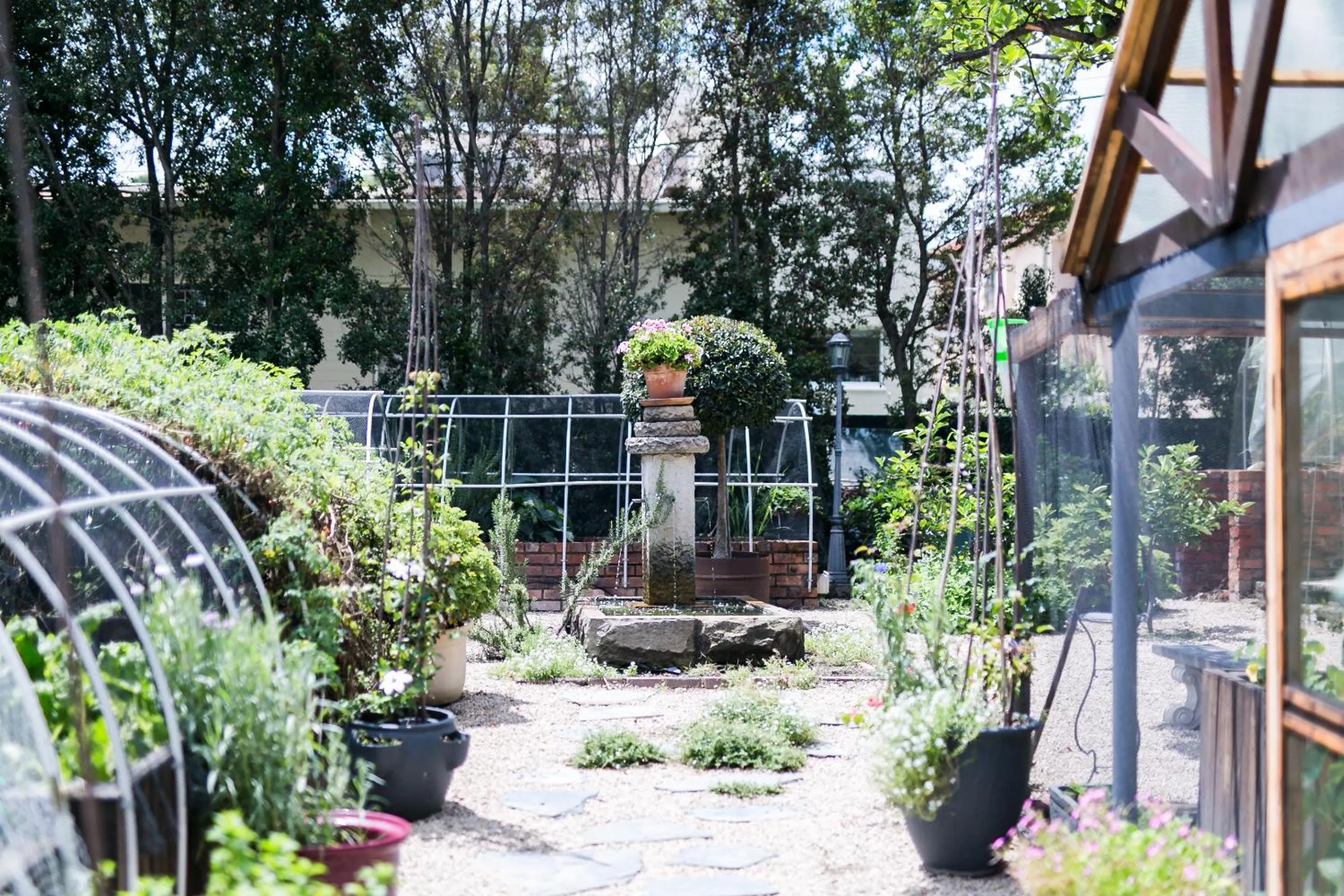 Garden in Burkleigh House