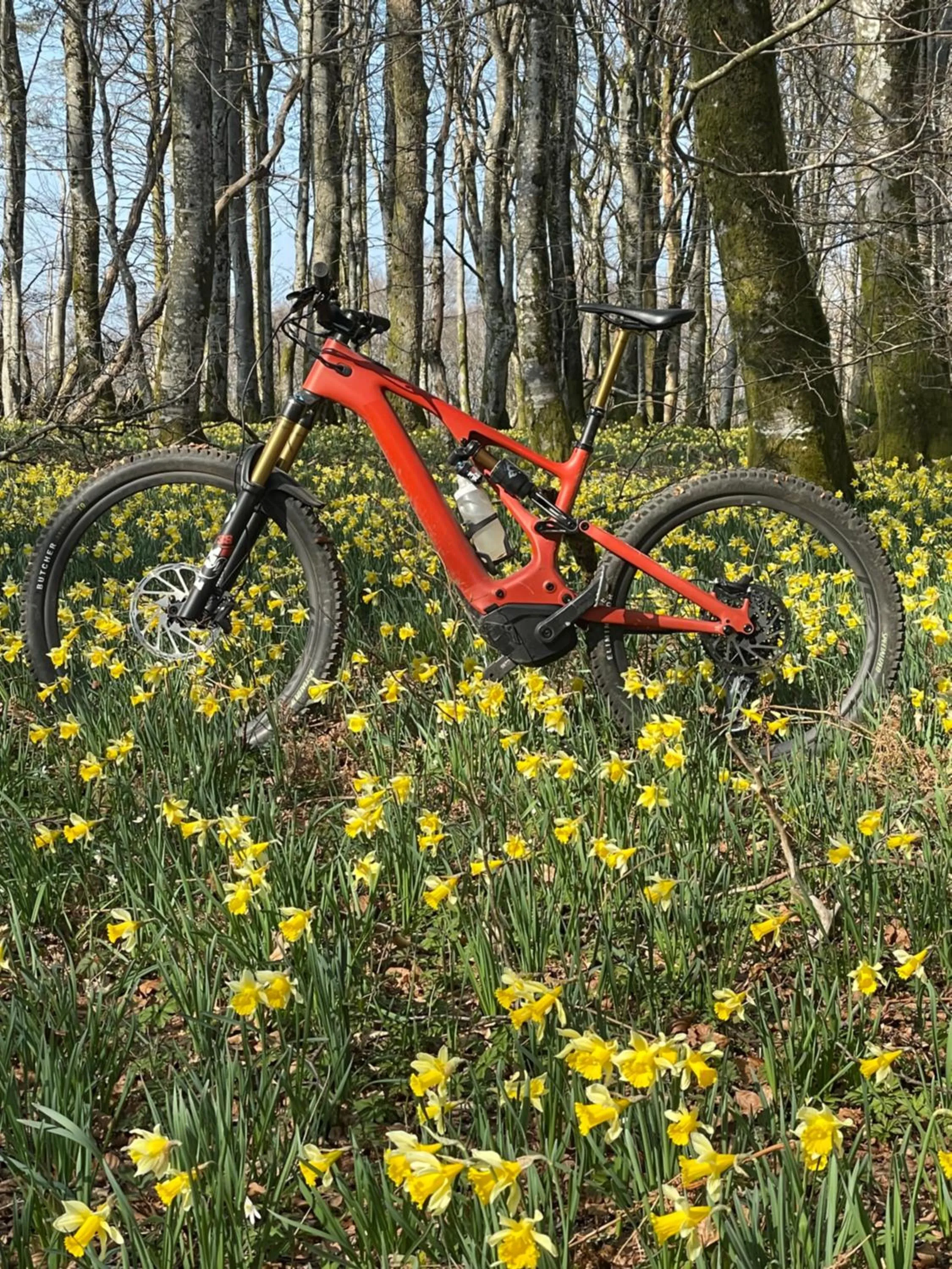 Activities in Hôtel l'Annexe