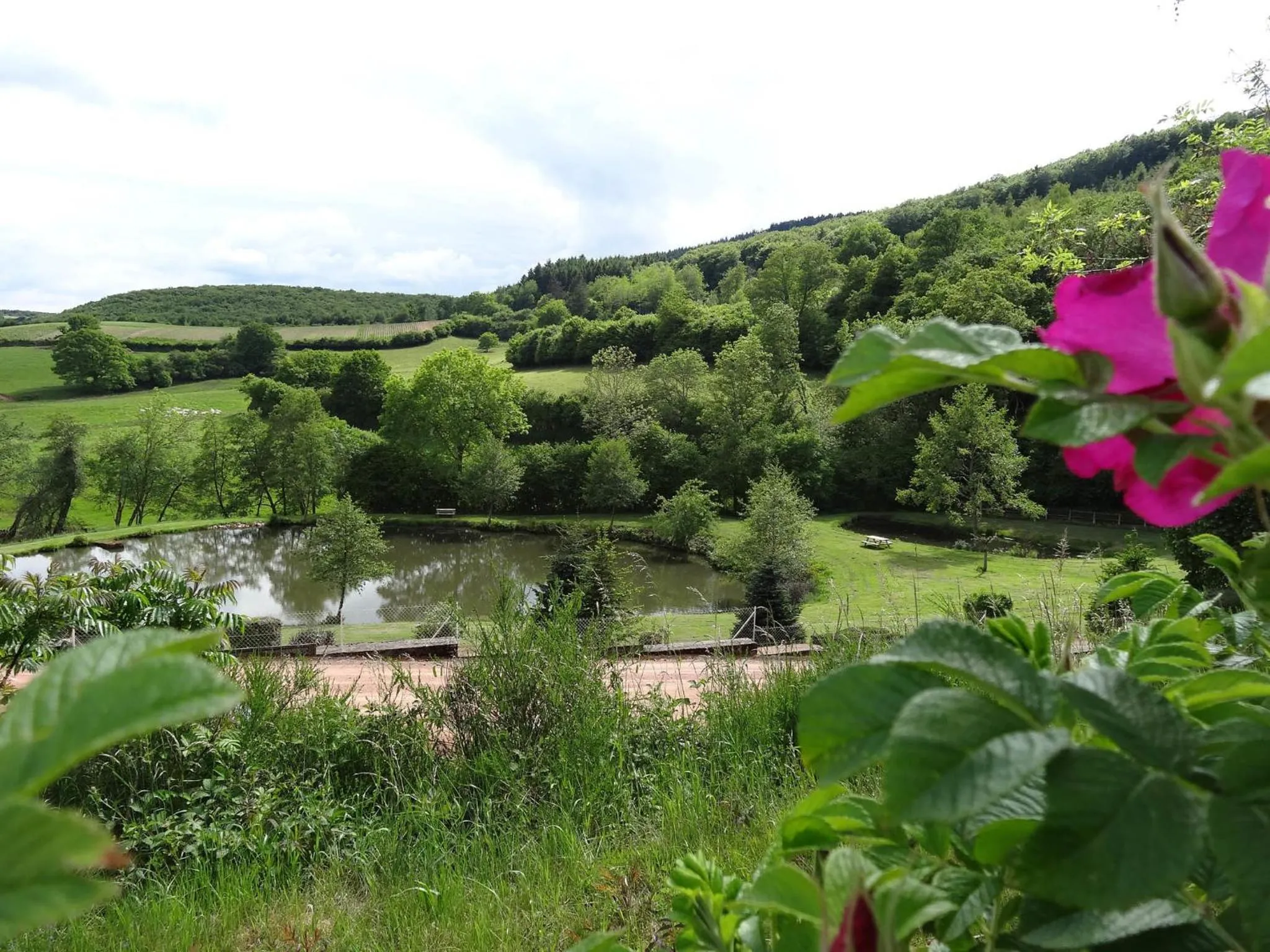 Garden in Hôtel l'Annexe