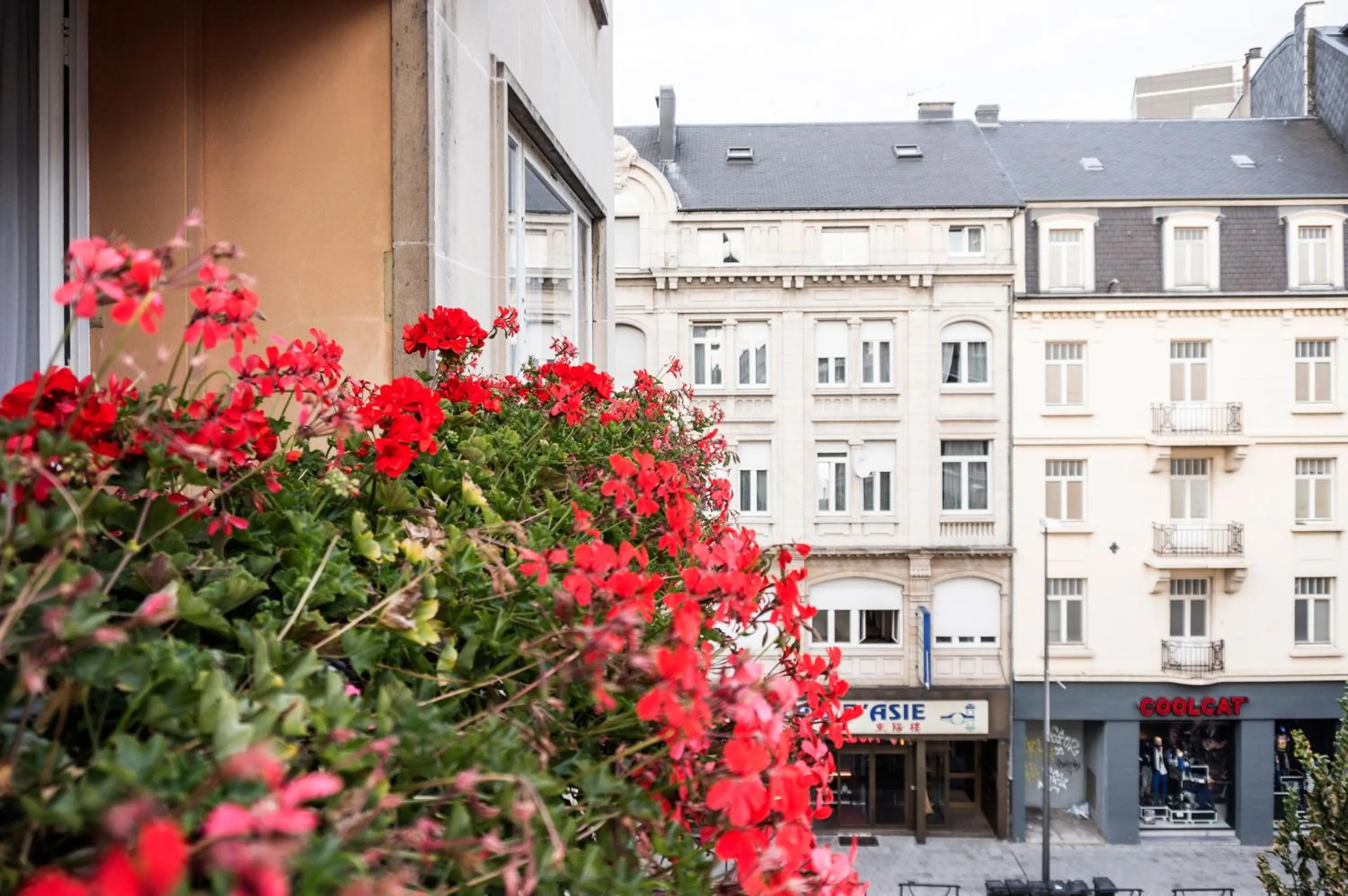 Balcony/Terrace in The Queen Luxury Apartments - Villa Carlotta