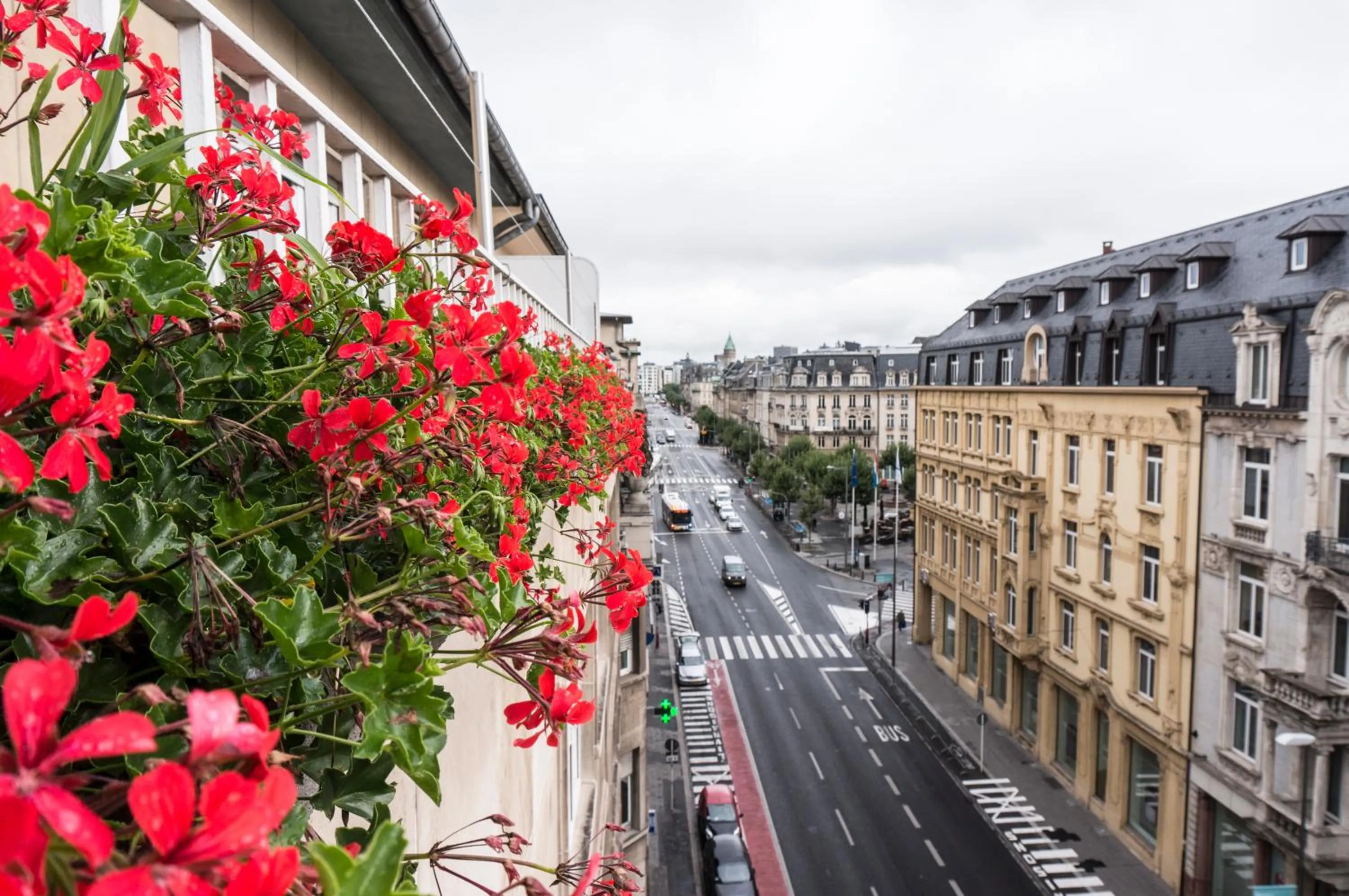 Street view in The Queen Luxury Apartments - Villa Carlotta