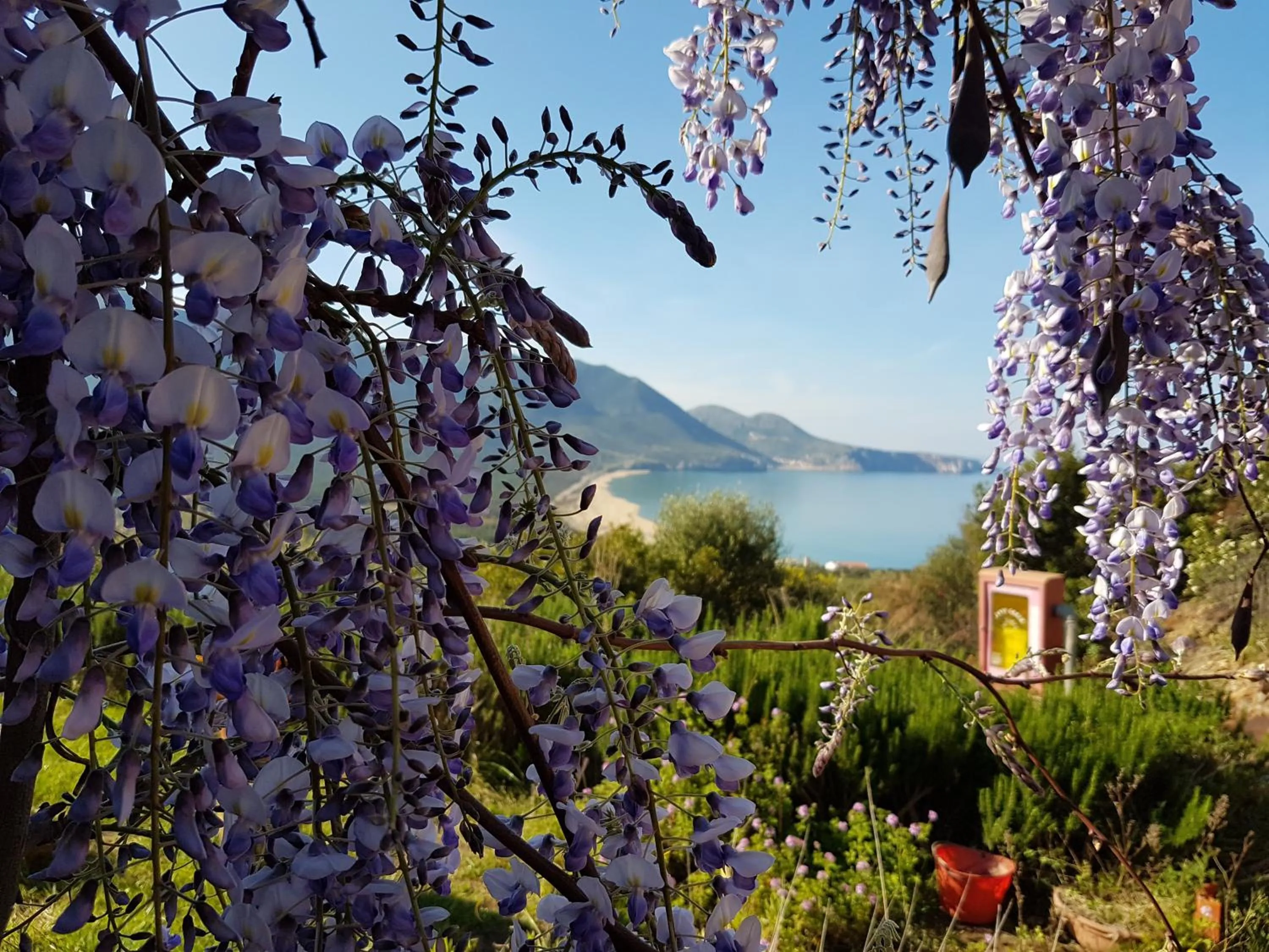 Garden in Hotel Sardus Pater
