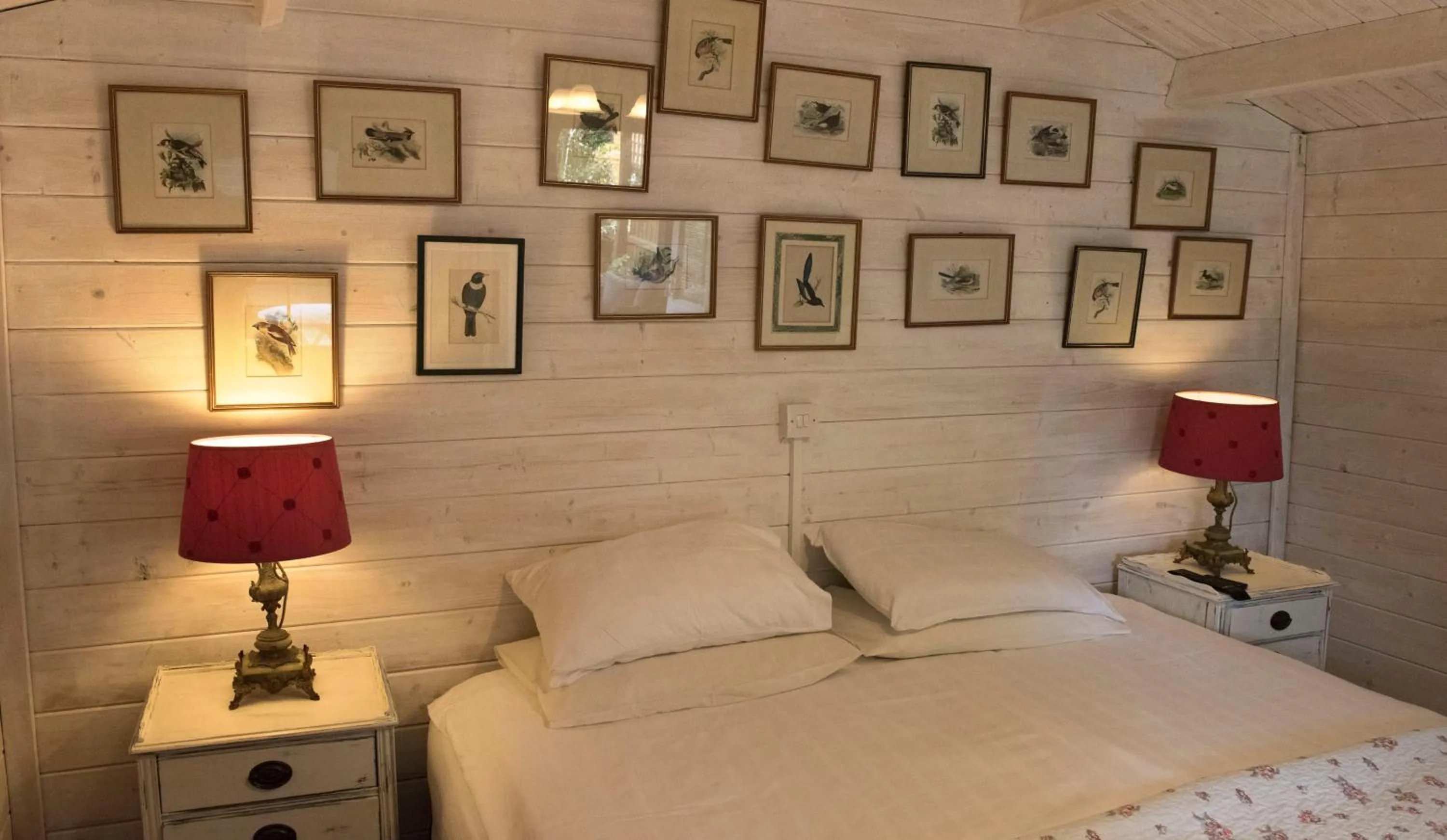 Garden, Bed in Ward Avenue B&B