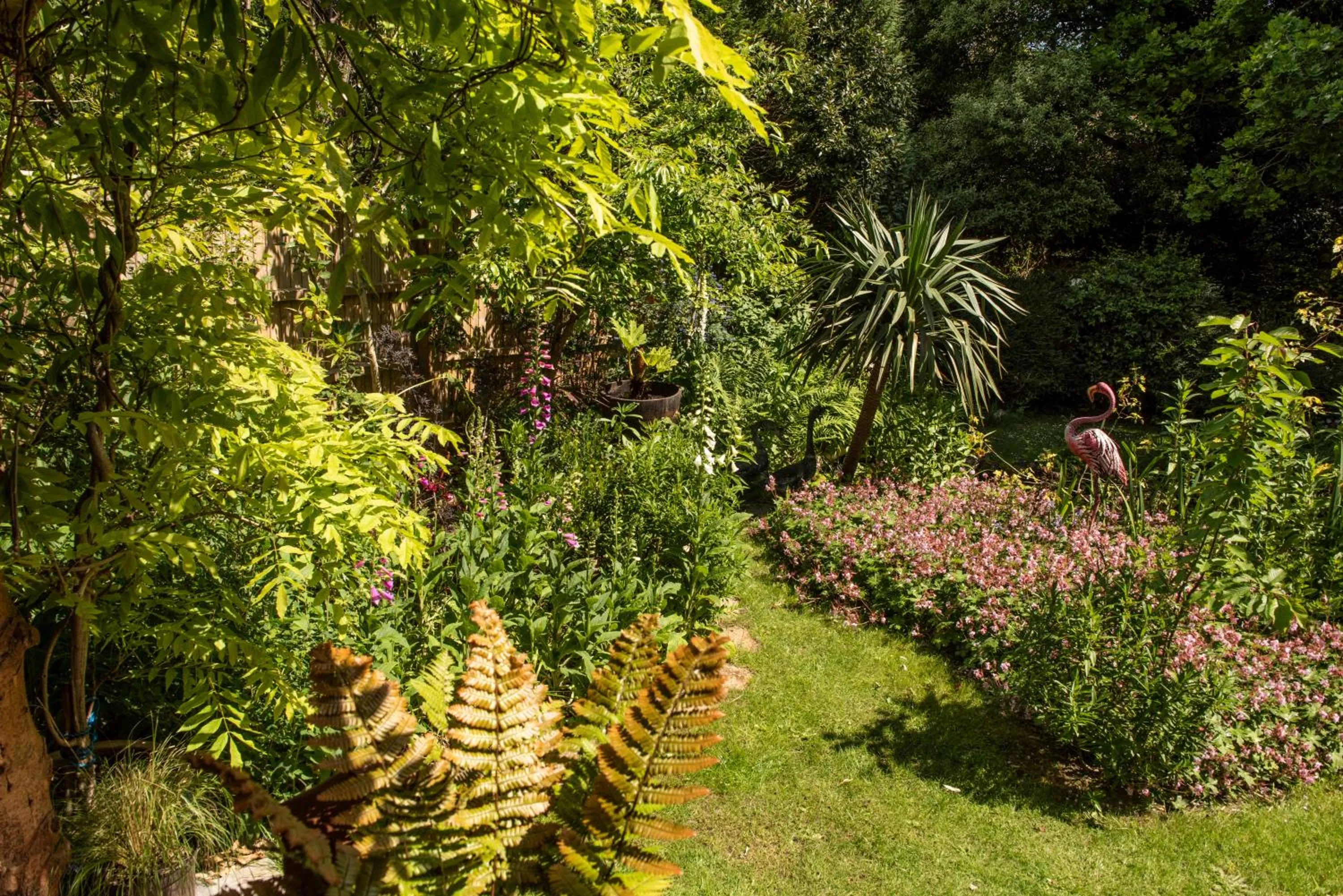View (from property/room) in Ward Avenue B&B