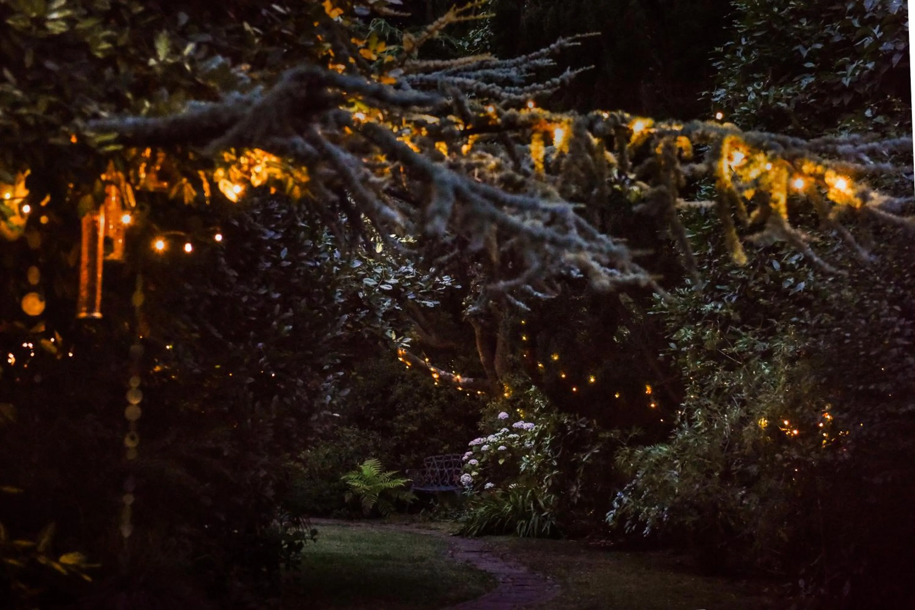 Garden in Ward Avenue B&B
