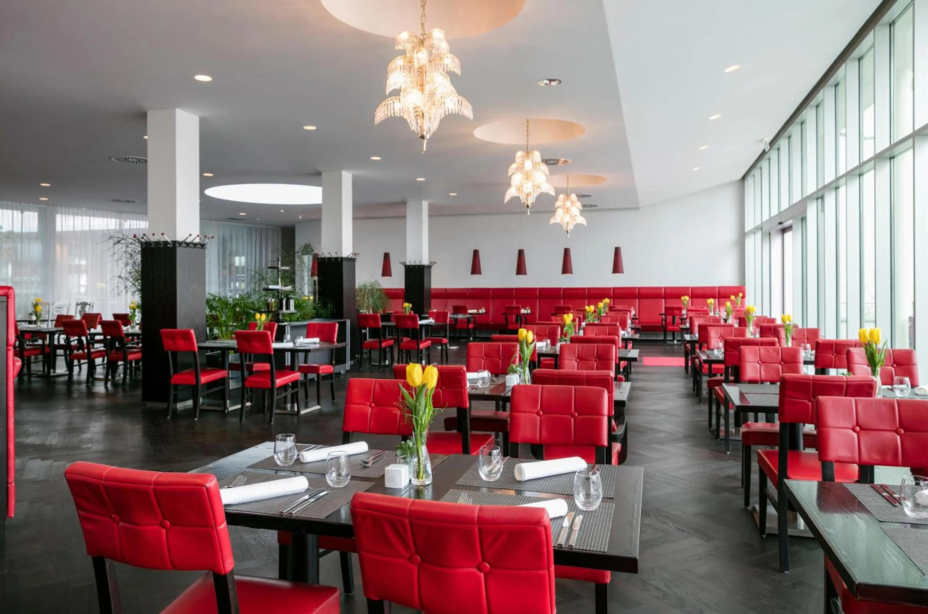 Restaurant/places to eat in ARCOTEL Kaiserwasser Wien