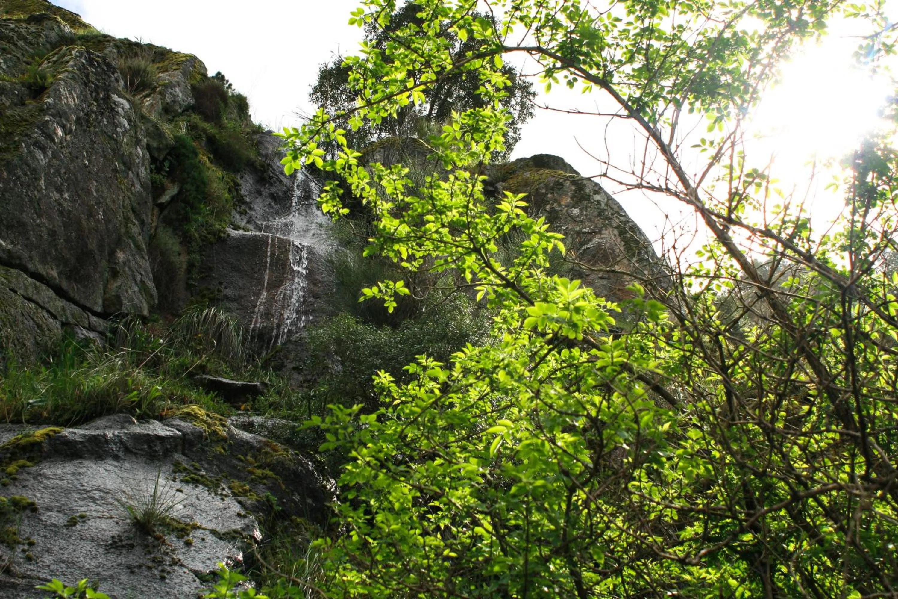 Area and facilities in Convento Da Serta Hotel
